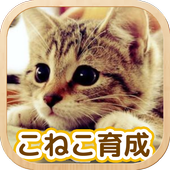 ねこ育成ゲーム - 完全無料！子猫をのんびり育てるアプリ！かわいいねこゲーム！ app icon