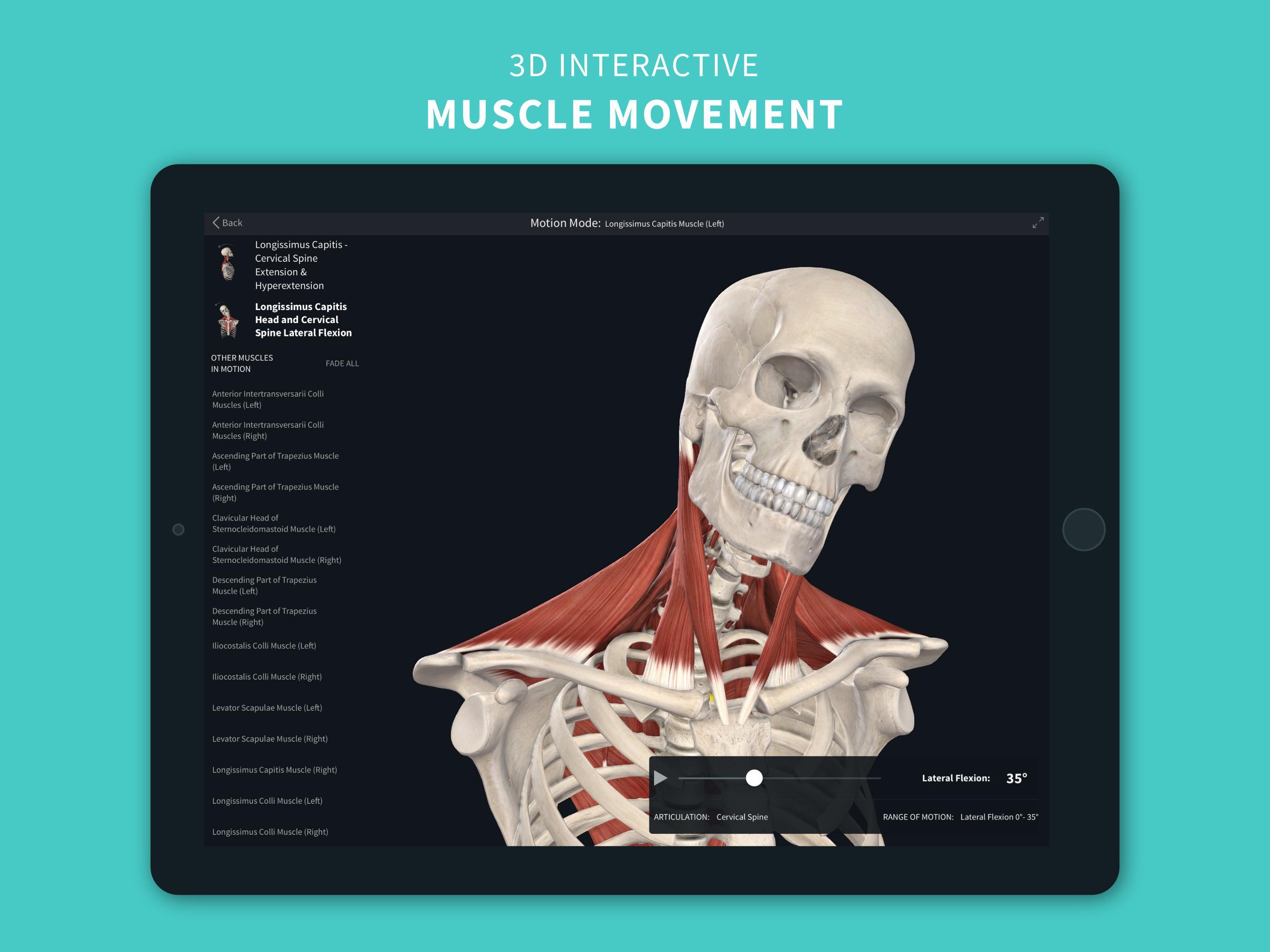 Complete Anatomy ‘21 - 3D Human Body Atlas 6.3.0 Screenshot 17
