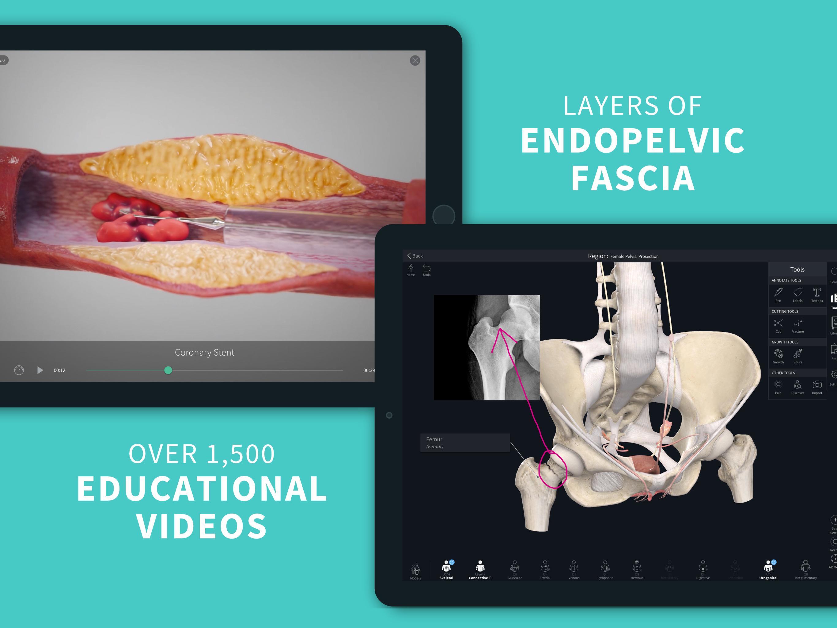 Complete Anatomy ‘21 - 3D Human Body Atlas 6.3.0 Screenshot 23