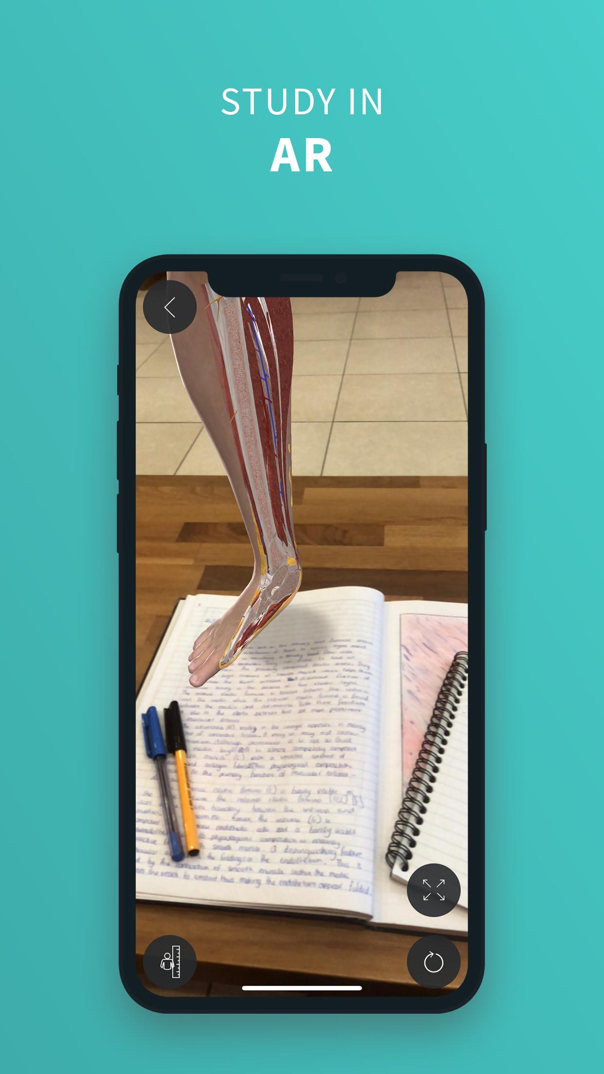 Complete Anatomy ‘21 - 3D Human Body Atlas 6.3.0 Screenshot 5
