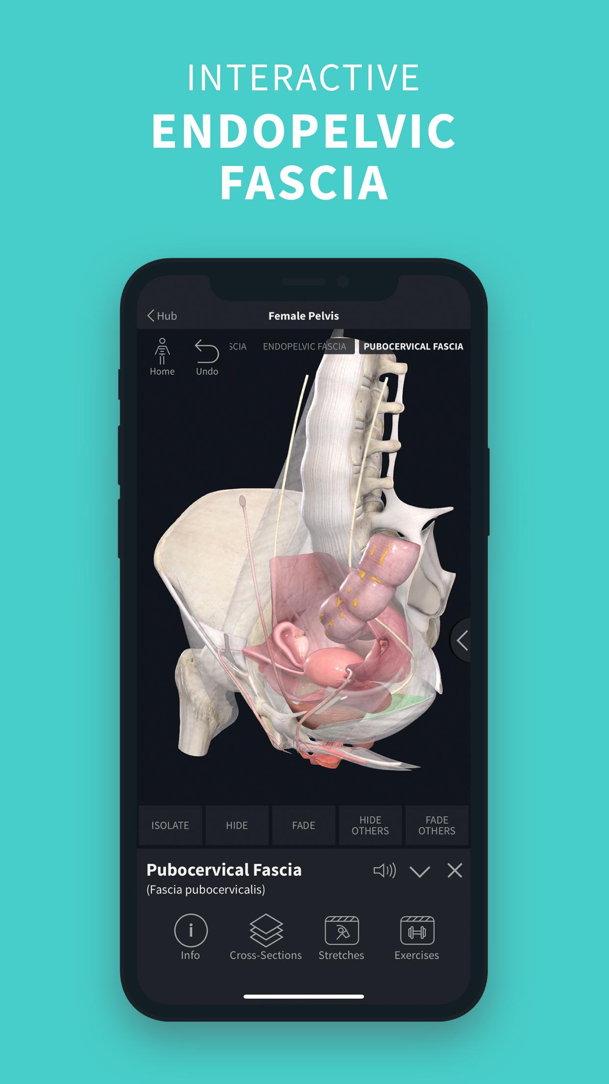 Complete Anatomy ‘21 - 3D Human Body Atlas 6.3.0 Screenshot 7