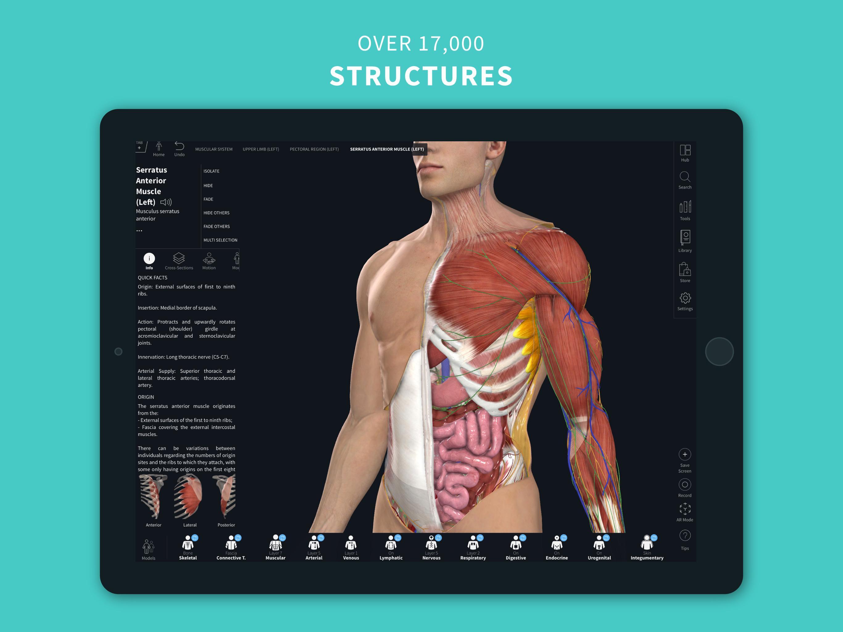 Complete Anatomy ‘21 - 3D Human Body Atlas 6.3.0 Screenshot 10