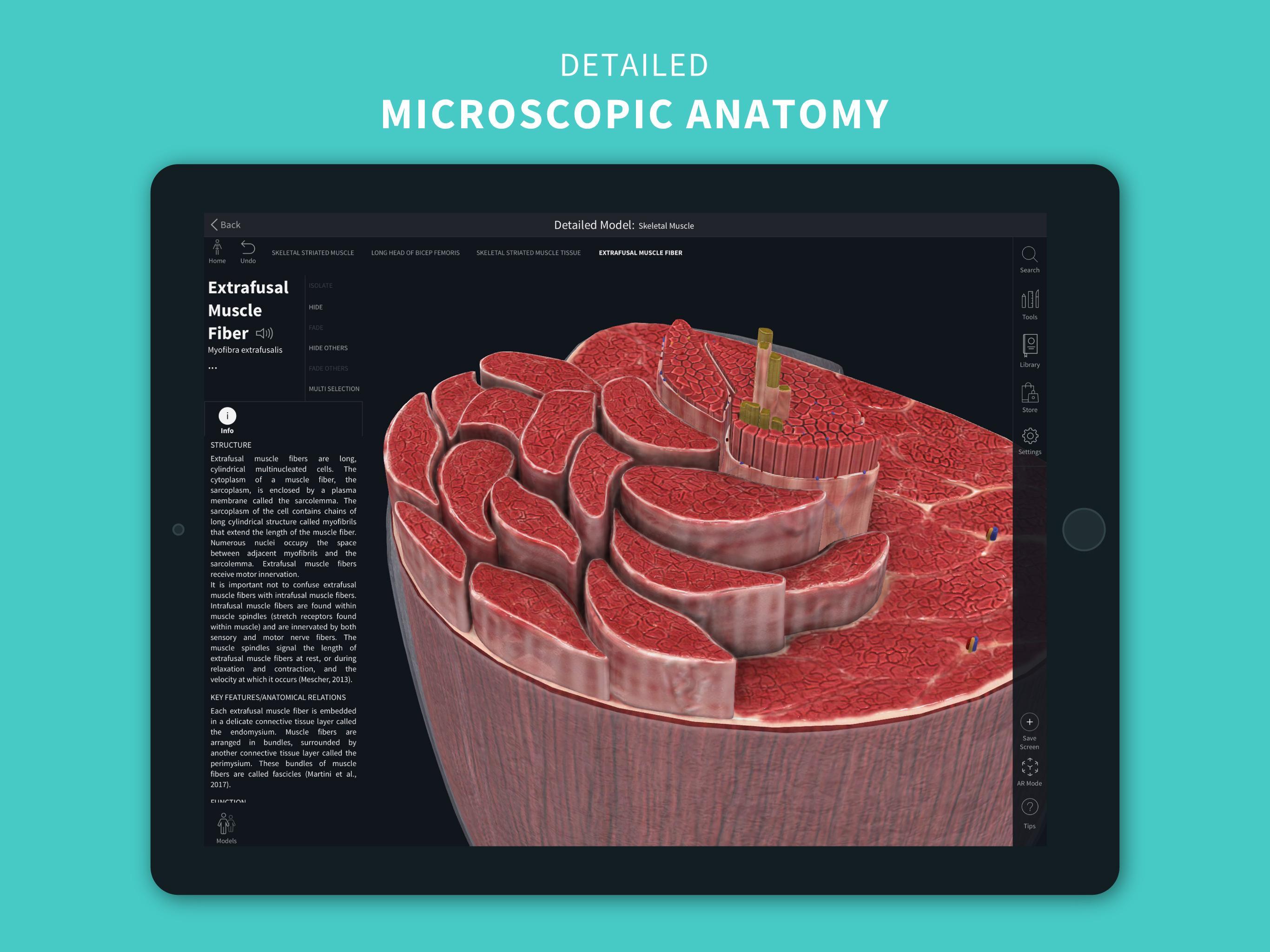 Complete Anatomy ‘21 - 3D Human Body Atlas 6.3.0 Screenshot 12