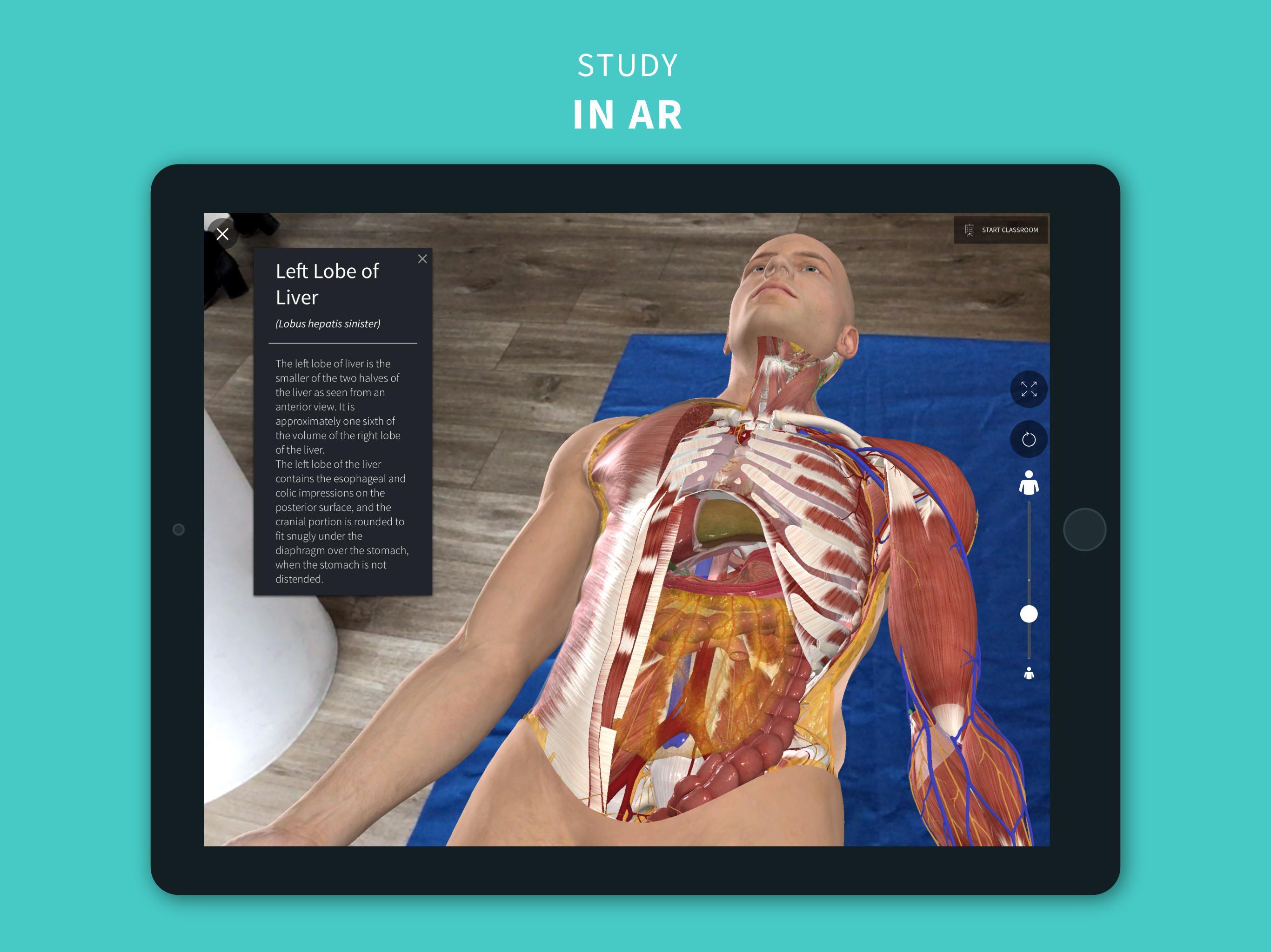 Complete Anatomy ‘21 - 3D Human Body Atlas 6.3.0 Screenshot 13