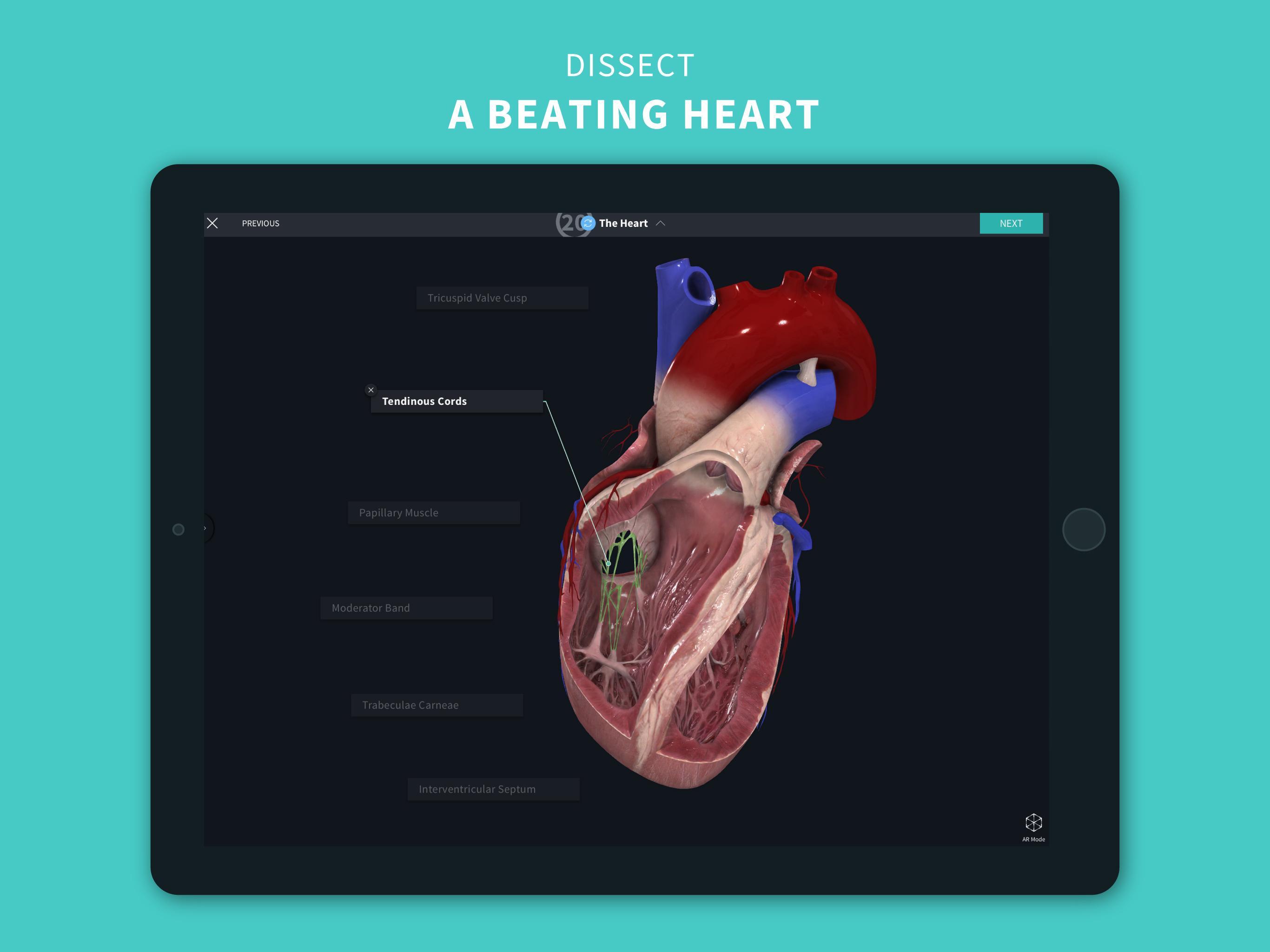 Complete Anatomy ‘21 - 3D Human Body Atlas 6.3.0 Screenshot 14