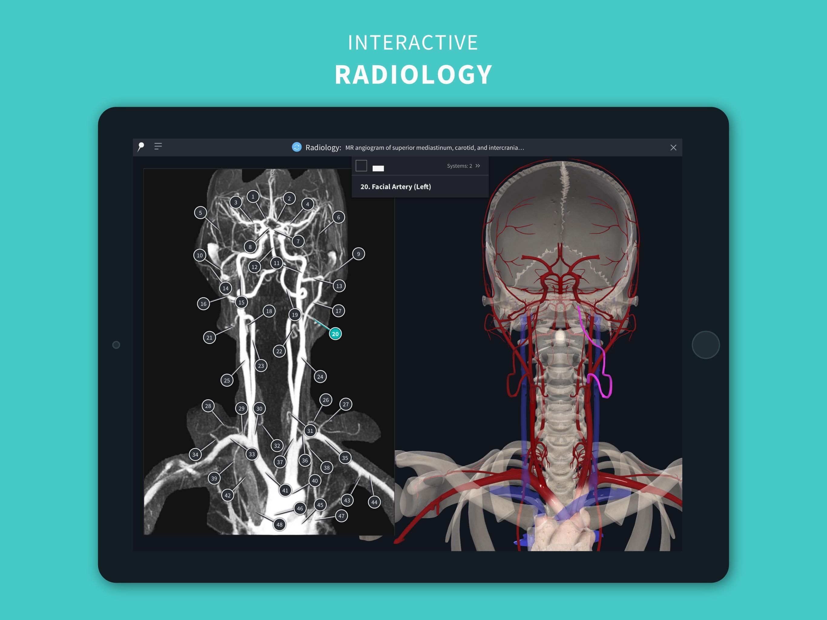 Complete Anatomy ‘21 - 3D Human Body Atlas 6.3.0 Screenshot 19