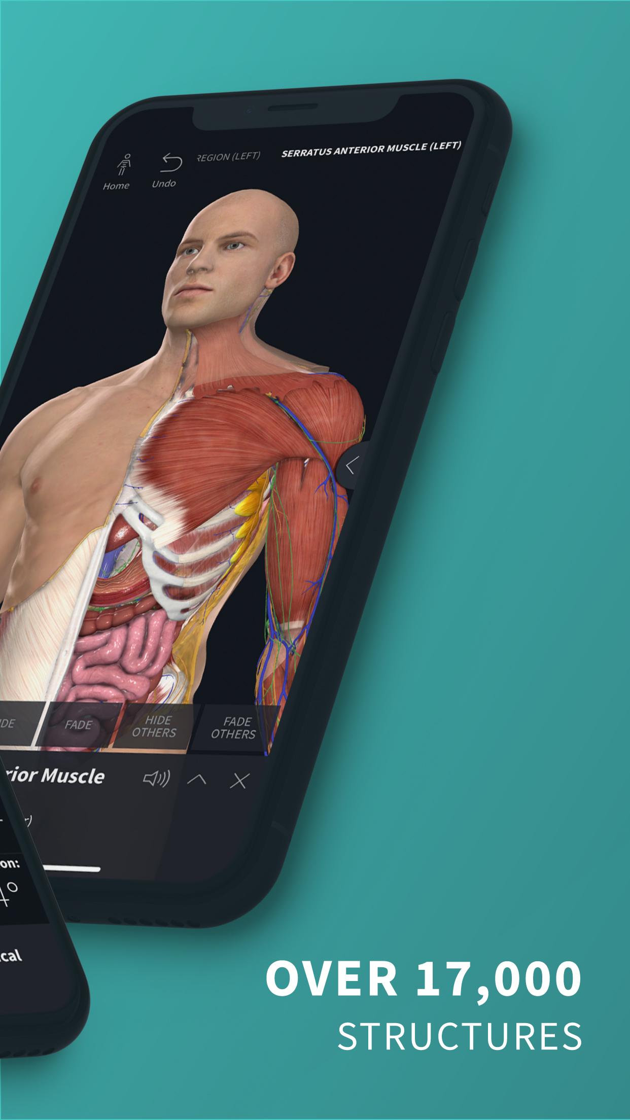 Complete Anatomy ‘21 - 3D Human Body Atlas 6.3.0 Screenshot 2