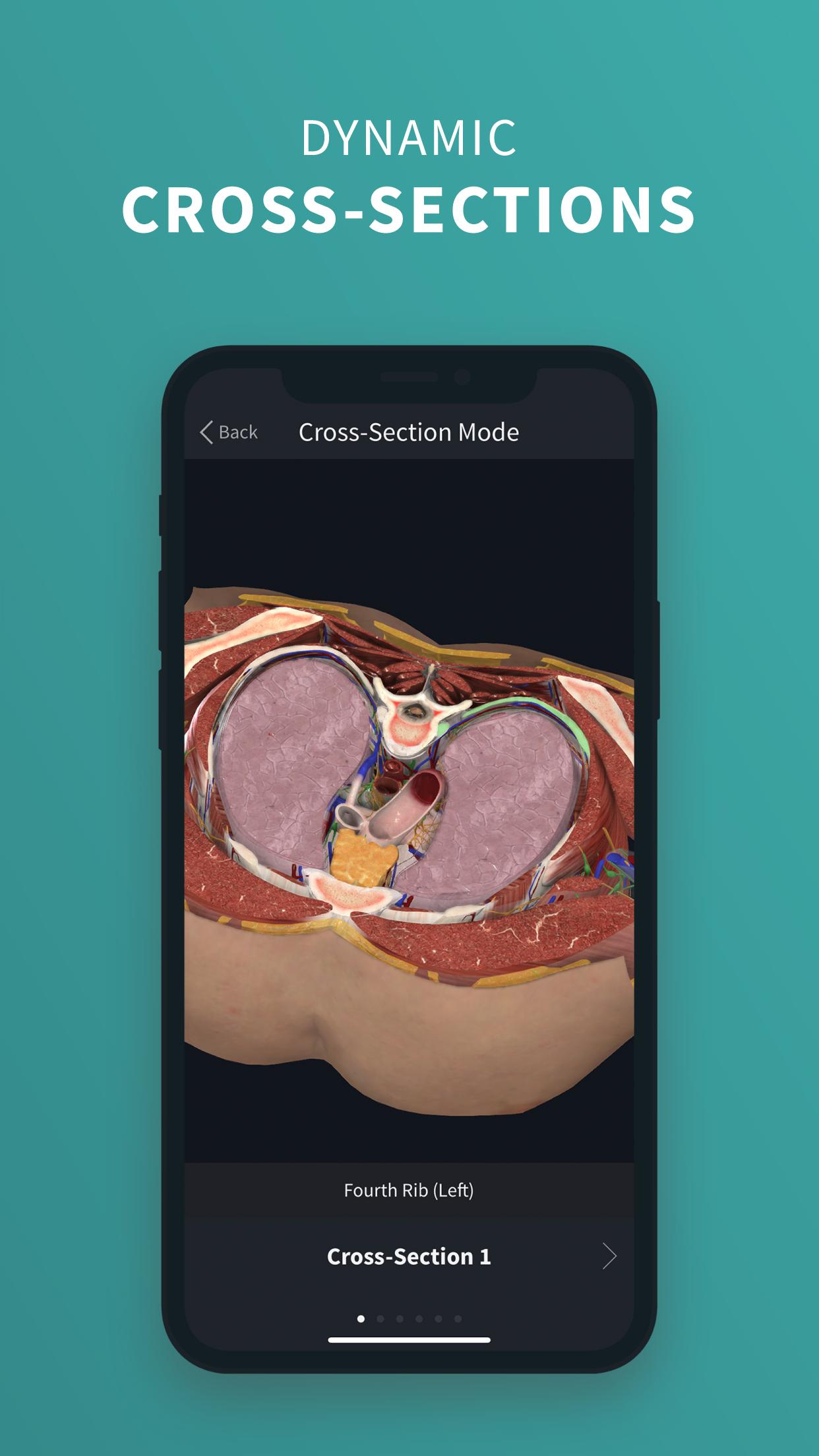 Complete Anatomy ‘21 - 3D Human Body Atlas 6.3.0 Screenshot 3