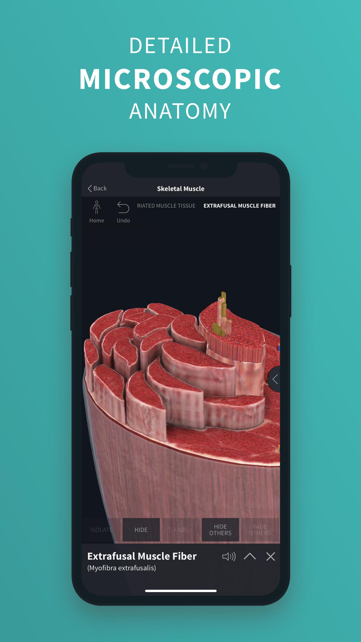 Complete Anatomy ‘21 - 3D Human Body Atlas 6.3.0 Screenshot 4