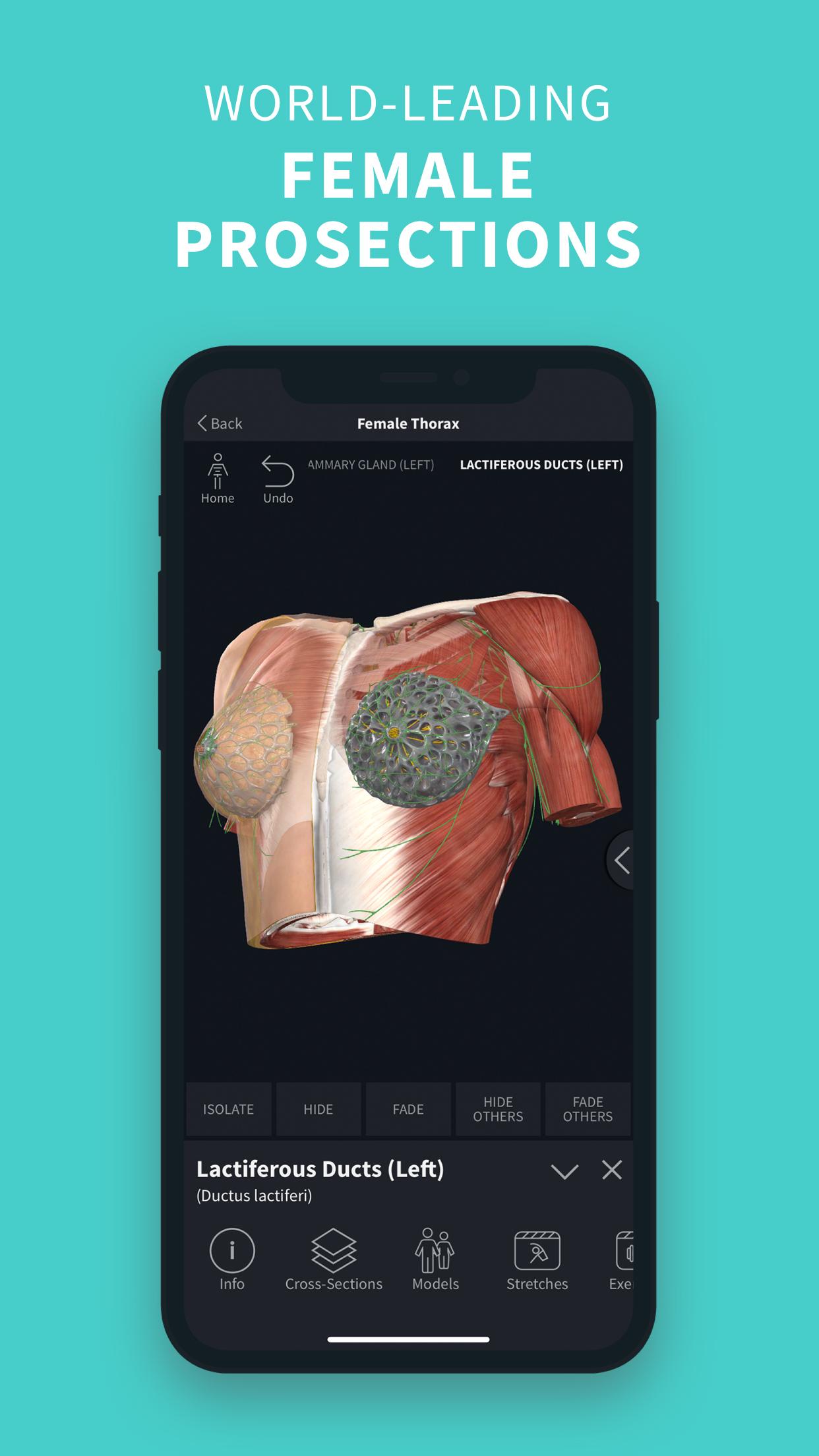 Complete Anatomy ‘21 - 3D Human Body Atlas 6.3.0 Screenshot 6