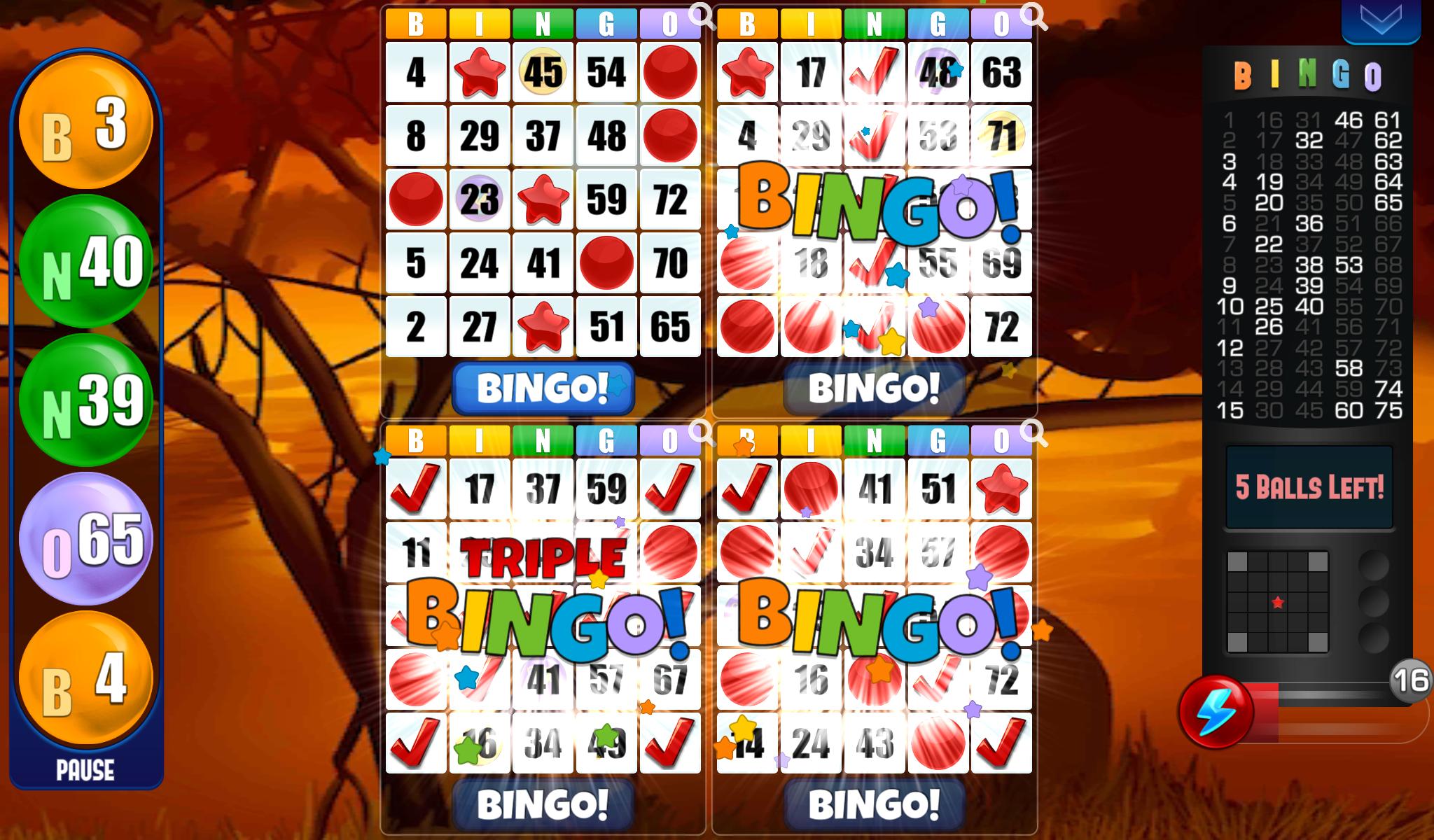 Bingo - Free Bingo Games 2.05.003 Screenshot 3