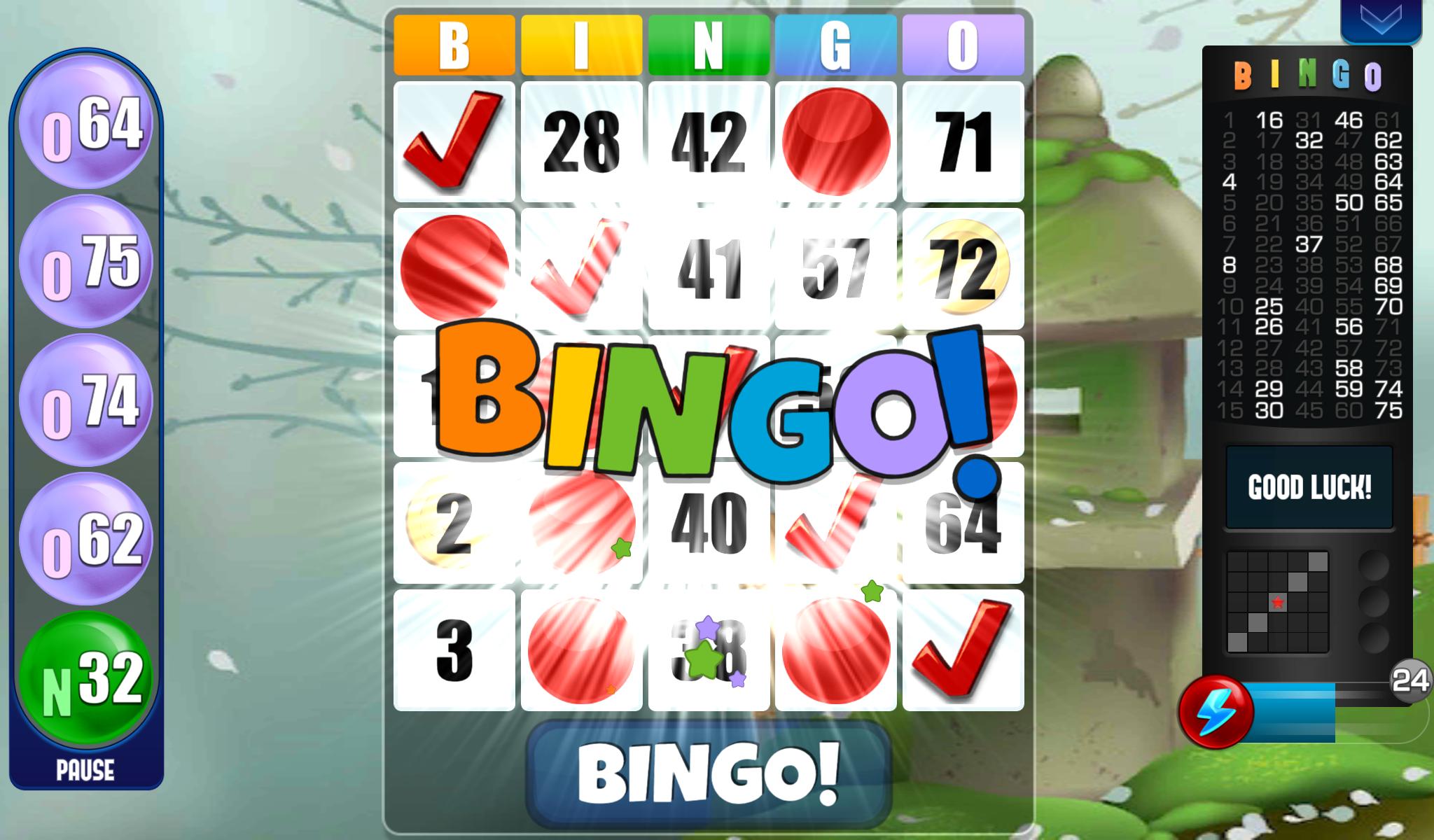 Bingo - Free Bingo Games 2.05.003 Screenshot 5