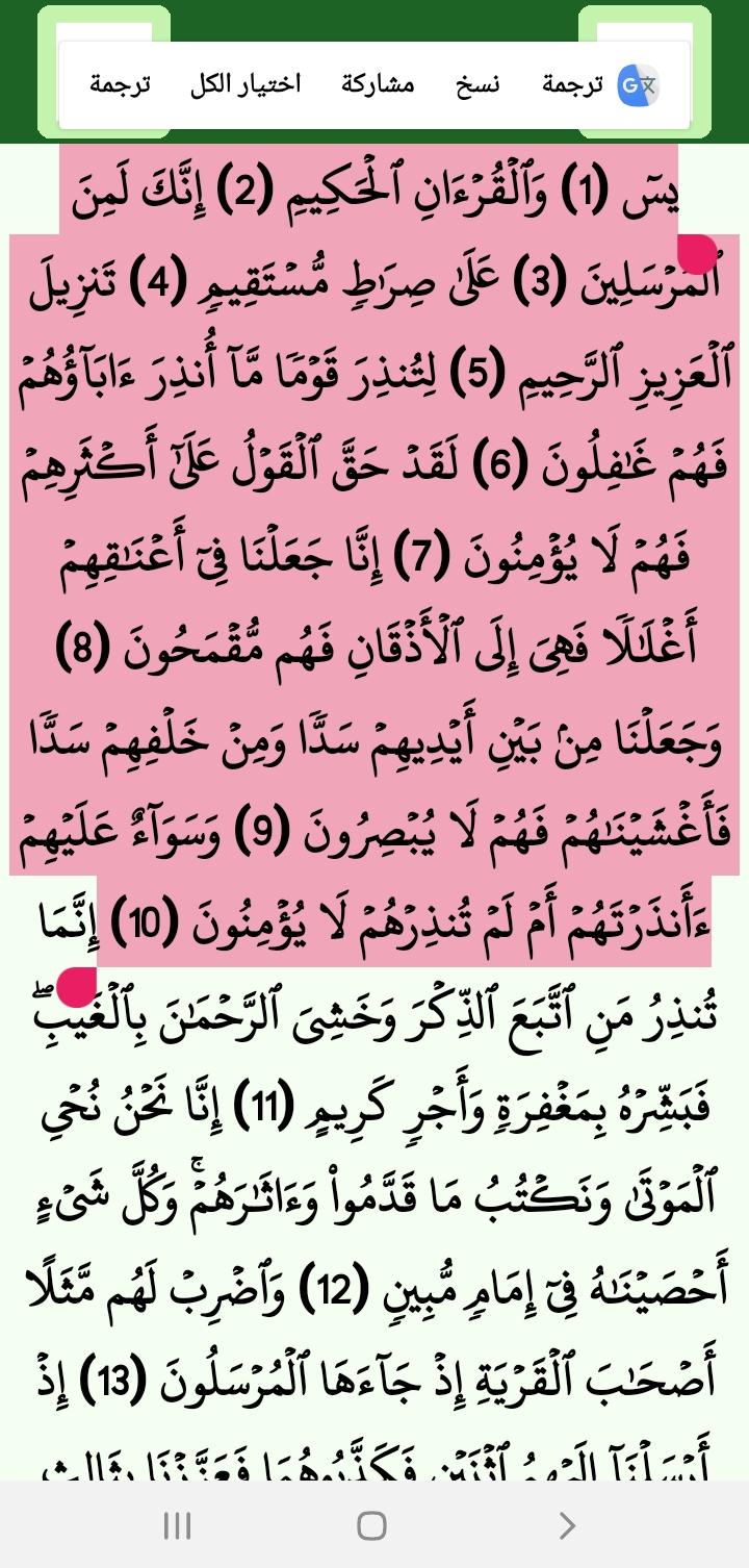 القرآن صوت وقراءة بدون نت بصوت الشيخ عبد الباسط 1.30 Screenshot 15