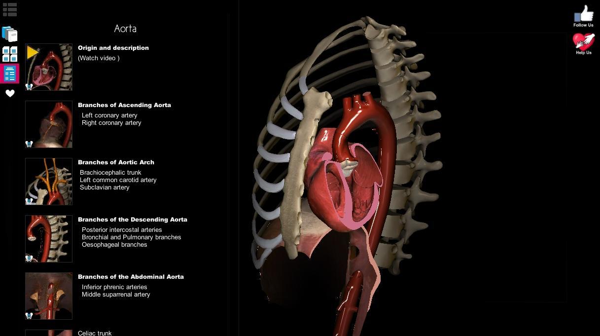 Anatomy Learning - 3D Anatomy Atlas 2.1.8 Screenshot 13