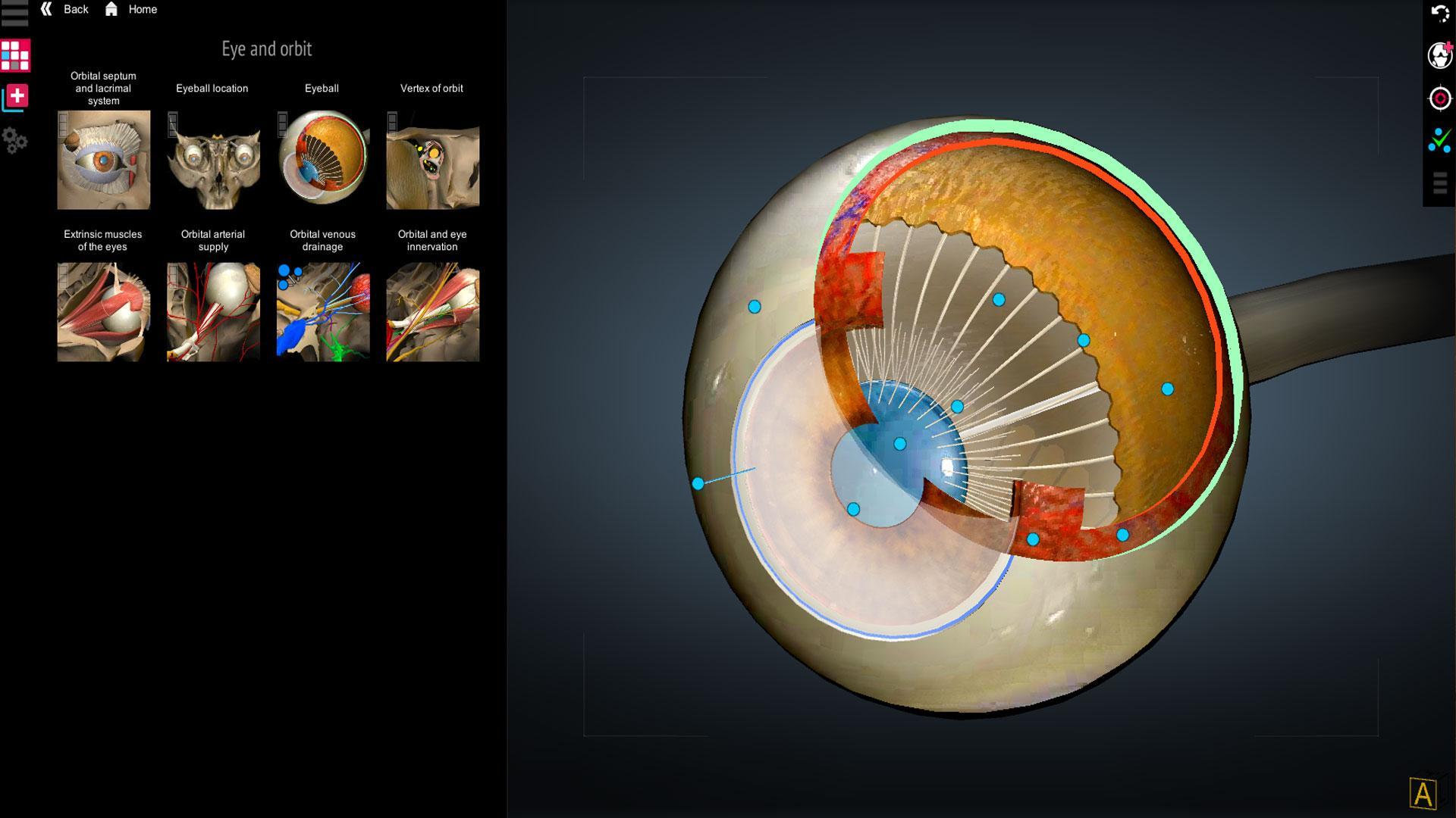 Anatomy Learning - 3D Anatomy Atlas 2.1.8 Screenshot 3