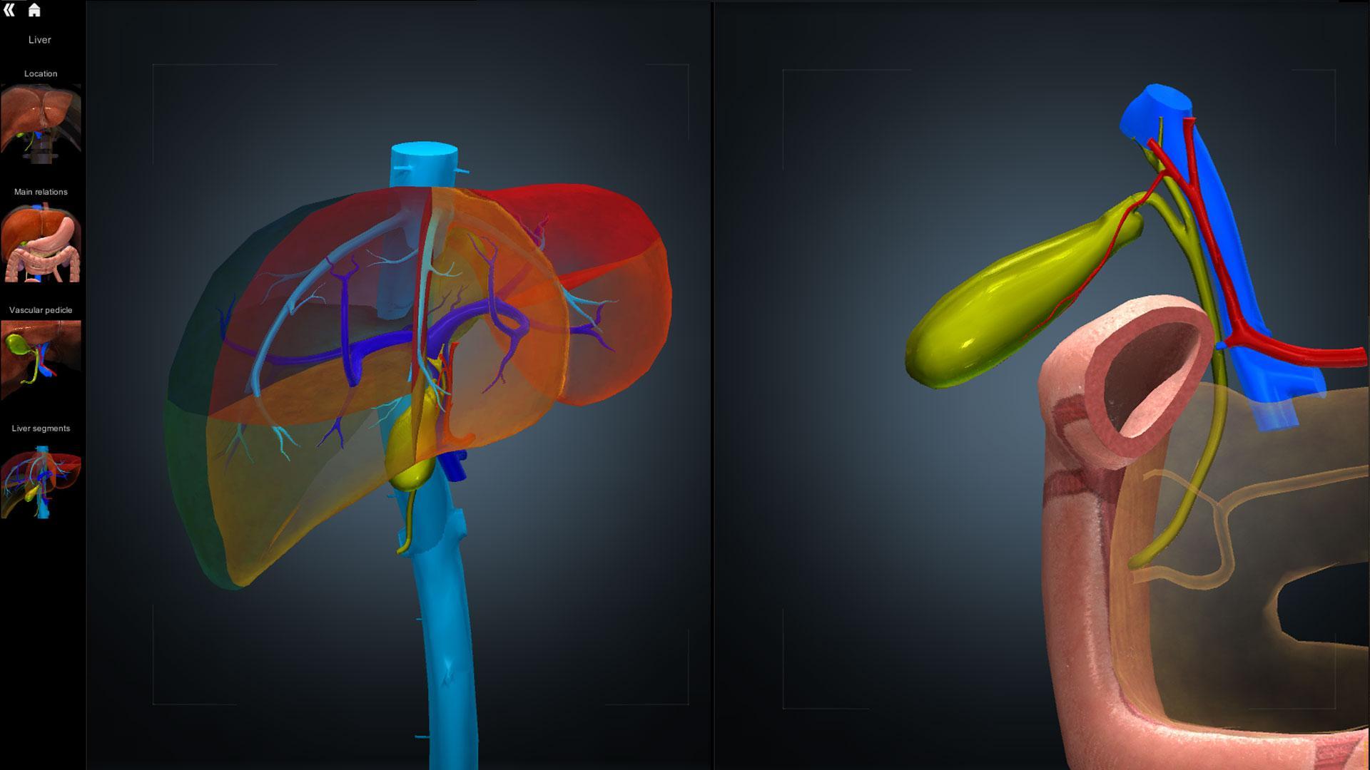 Anatomy Learning - 3D Anatomy Atlas 2.1.8 Screenshot 4