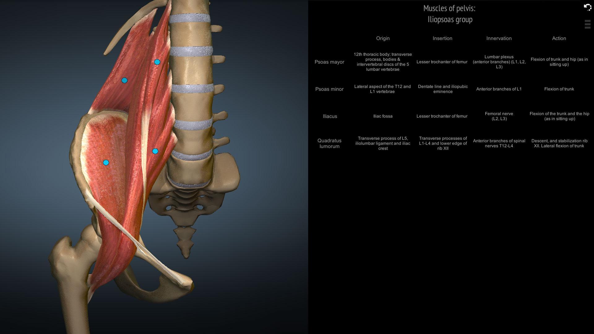 Anatomy Learning - 3D Anatomy Atlas 2.1.8 Screenshot 5