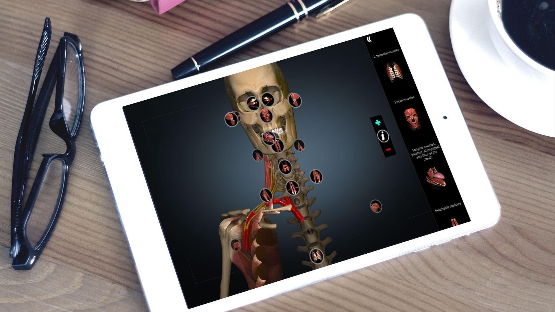 Anatomy Learning - 3D Anatomy Atlas 2.1.8 Screenshot 6