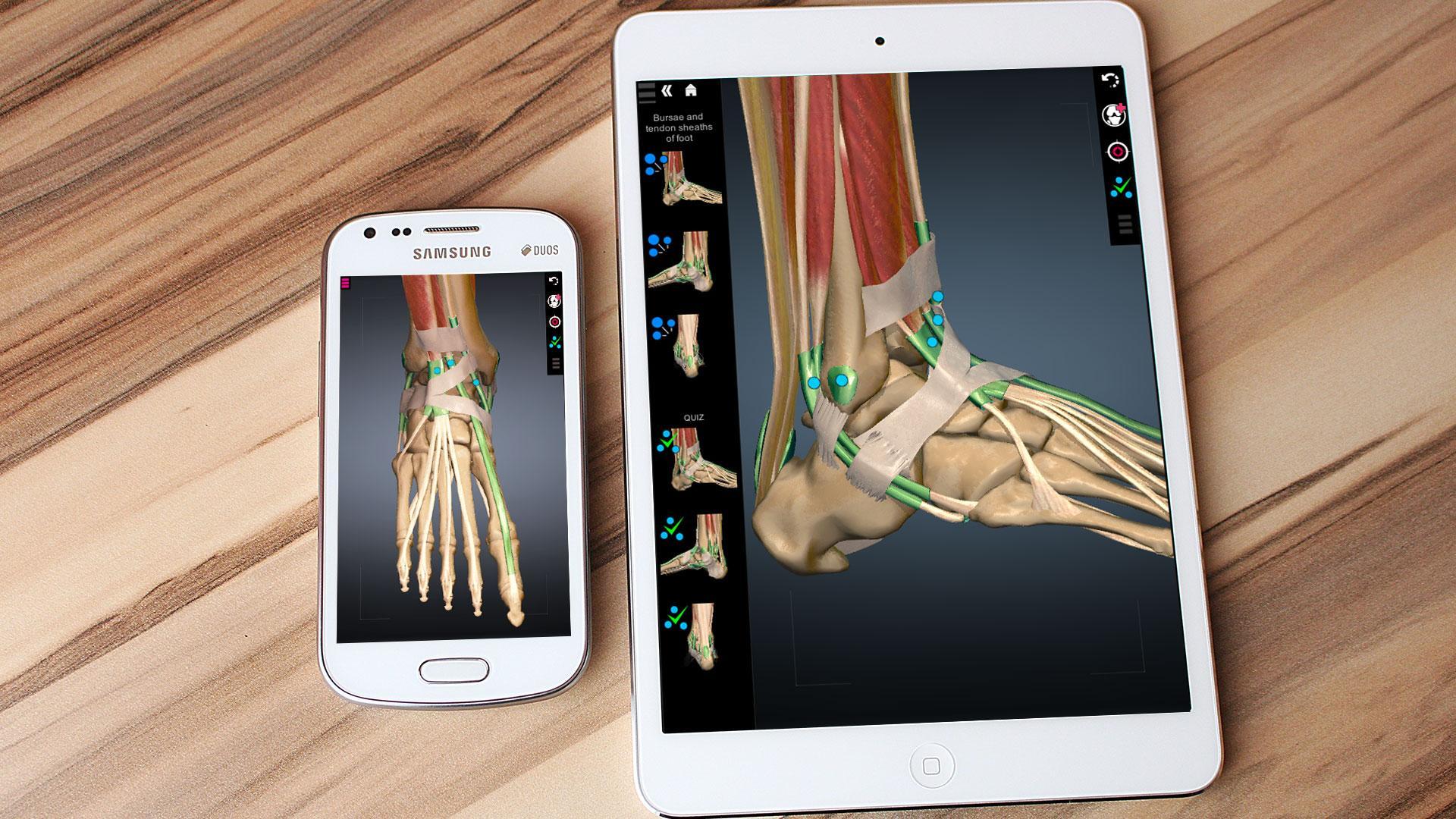 Anatomy Learning - 3D Anatomy Atlas 2.1.8 Screenshot 7