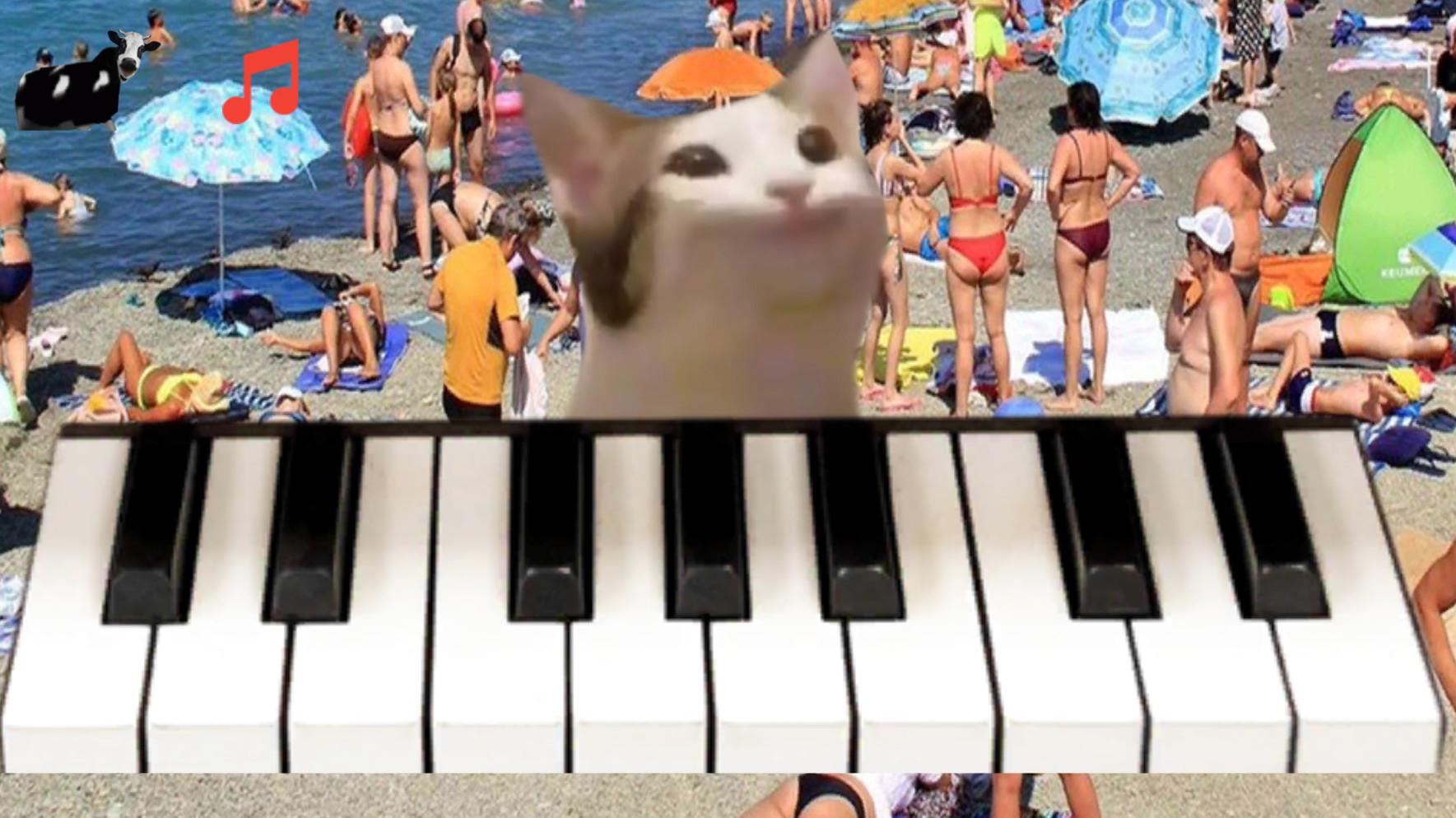 Pop Cat Piano 7.0 Screenshot 17