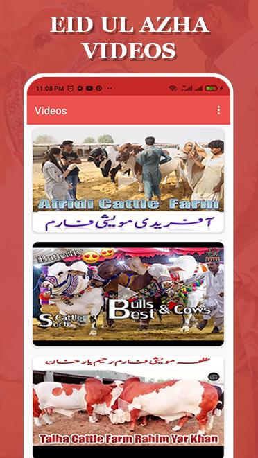 Bakra Eid 2021 - Mandi Video Updates 1.1 Screenshot 1