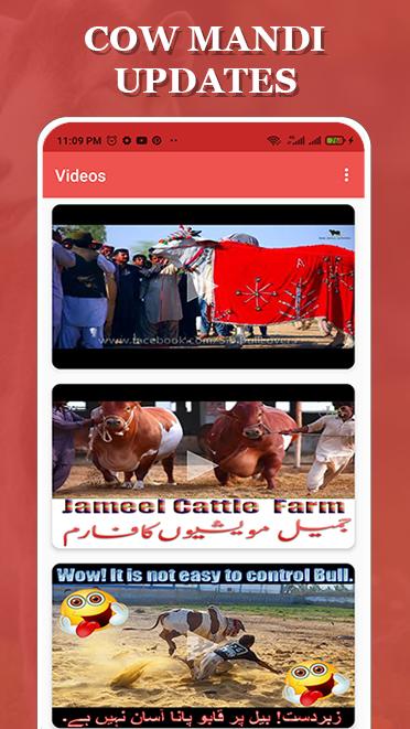 Bakra Eid 2021 - Mandi Video Updates 1.1 Screenshot 2