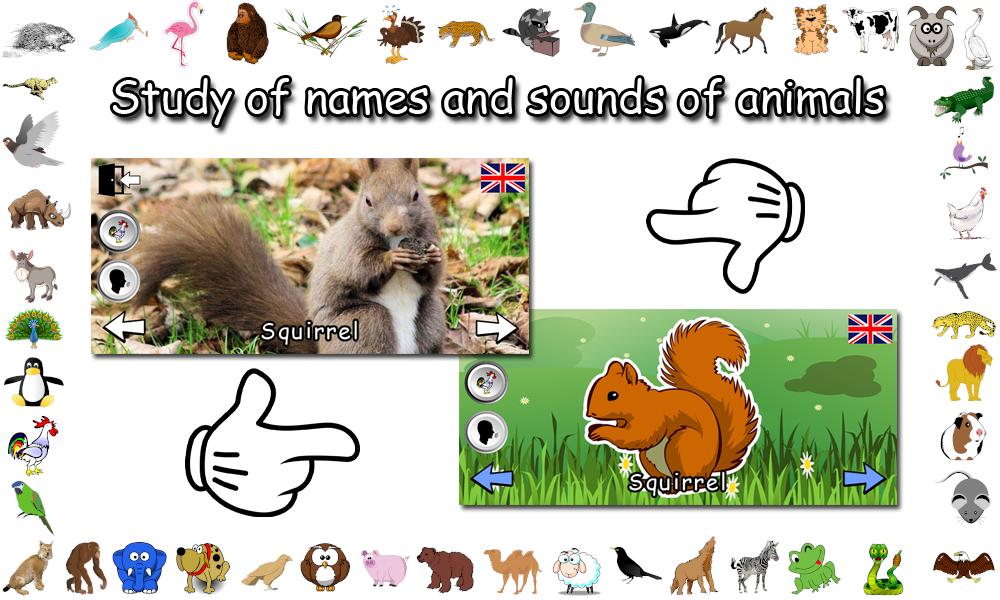 Animal Sounds 1.0 Screenshot 3