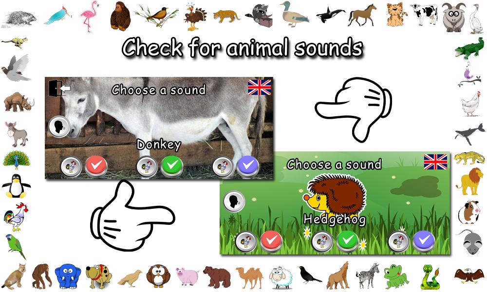 Animal Sounds 1.0 Screenshot 4