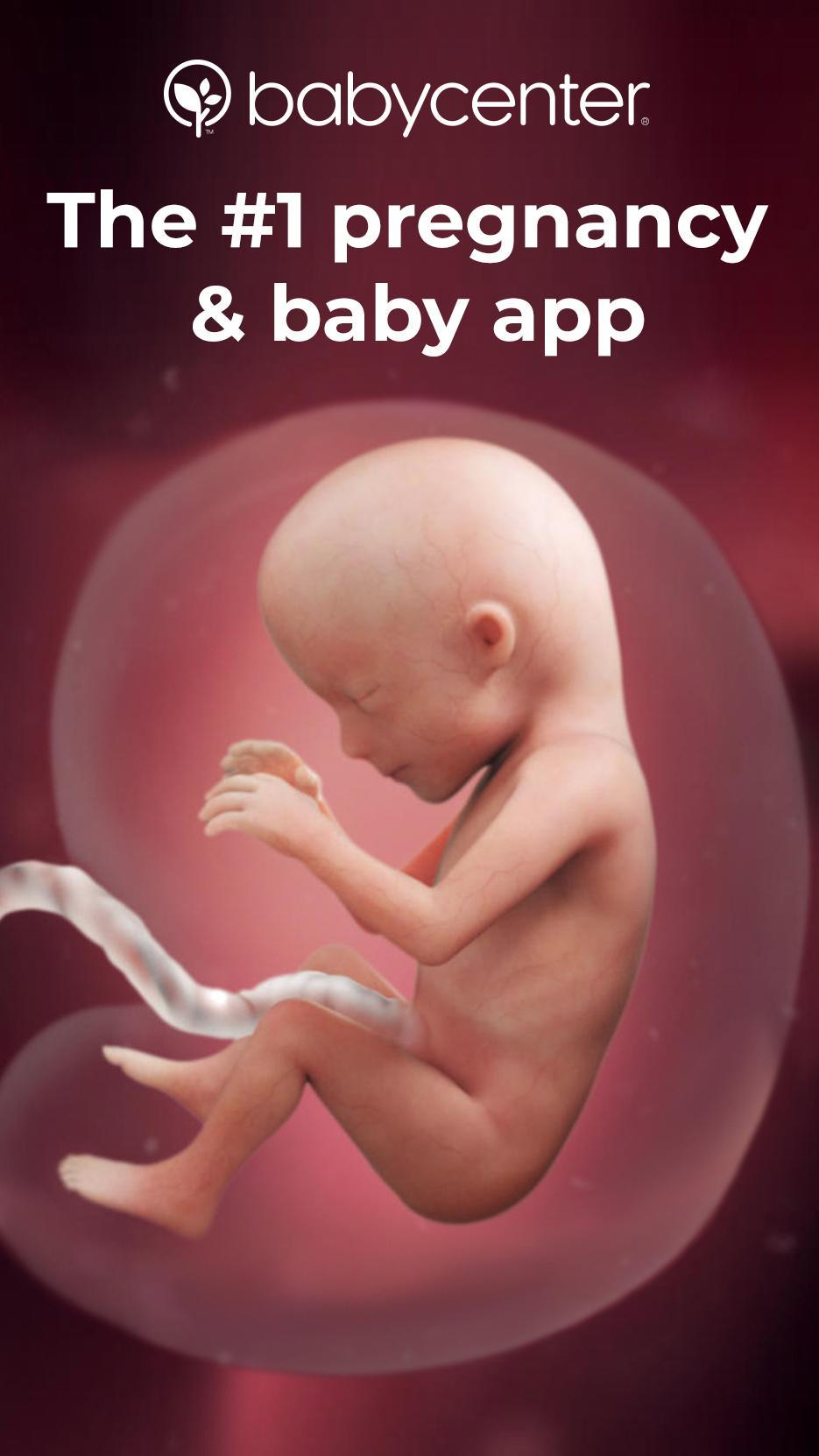 Pregnancy Tracker + Countdown to Baby Due Date 4.12.0 Screenshot 1