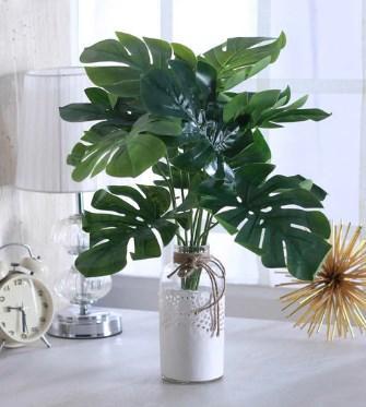 Decorative Plants Indoor 1.0 Screenshot 20