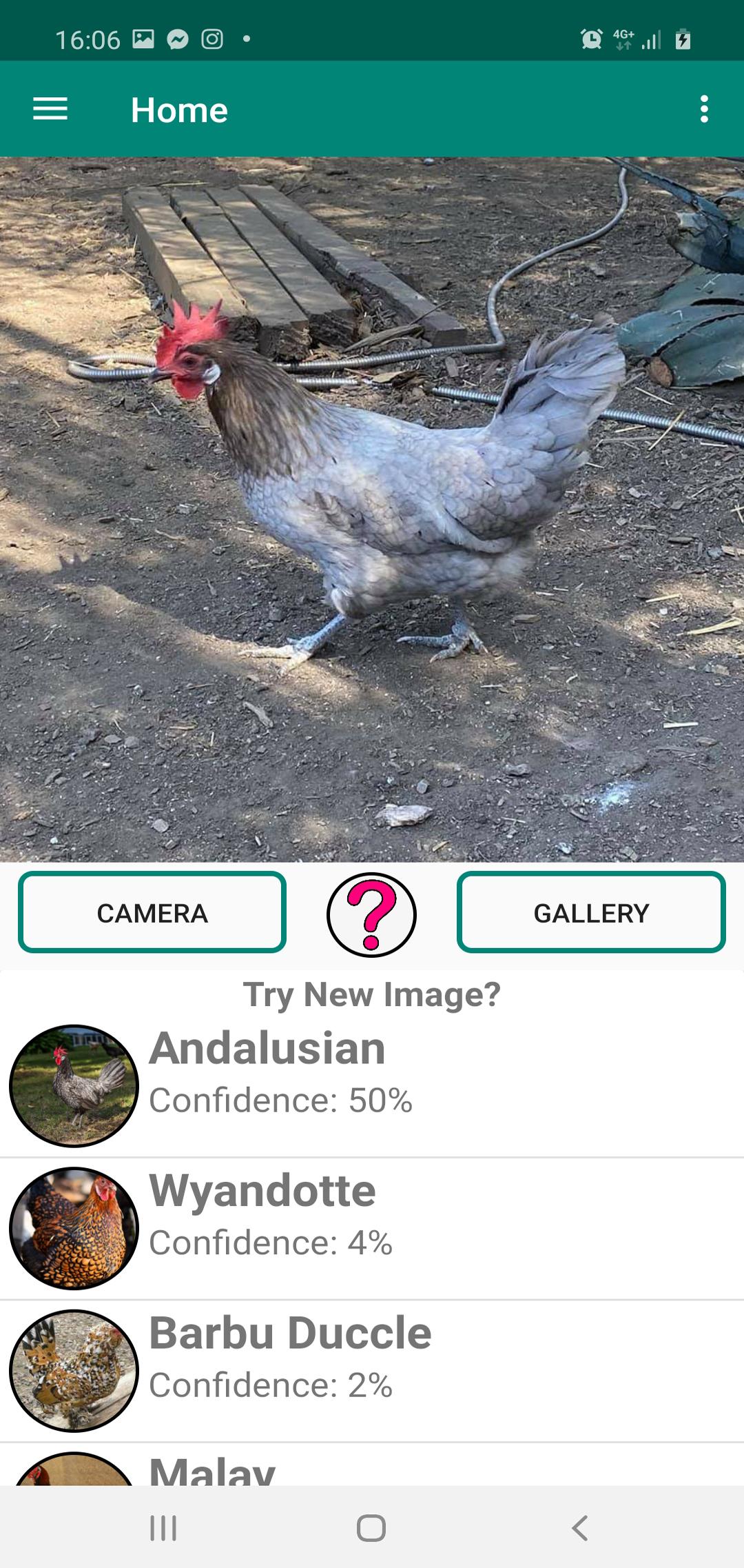 Chicken Breed Identifier 10.0 Screenshot 11