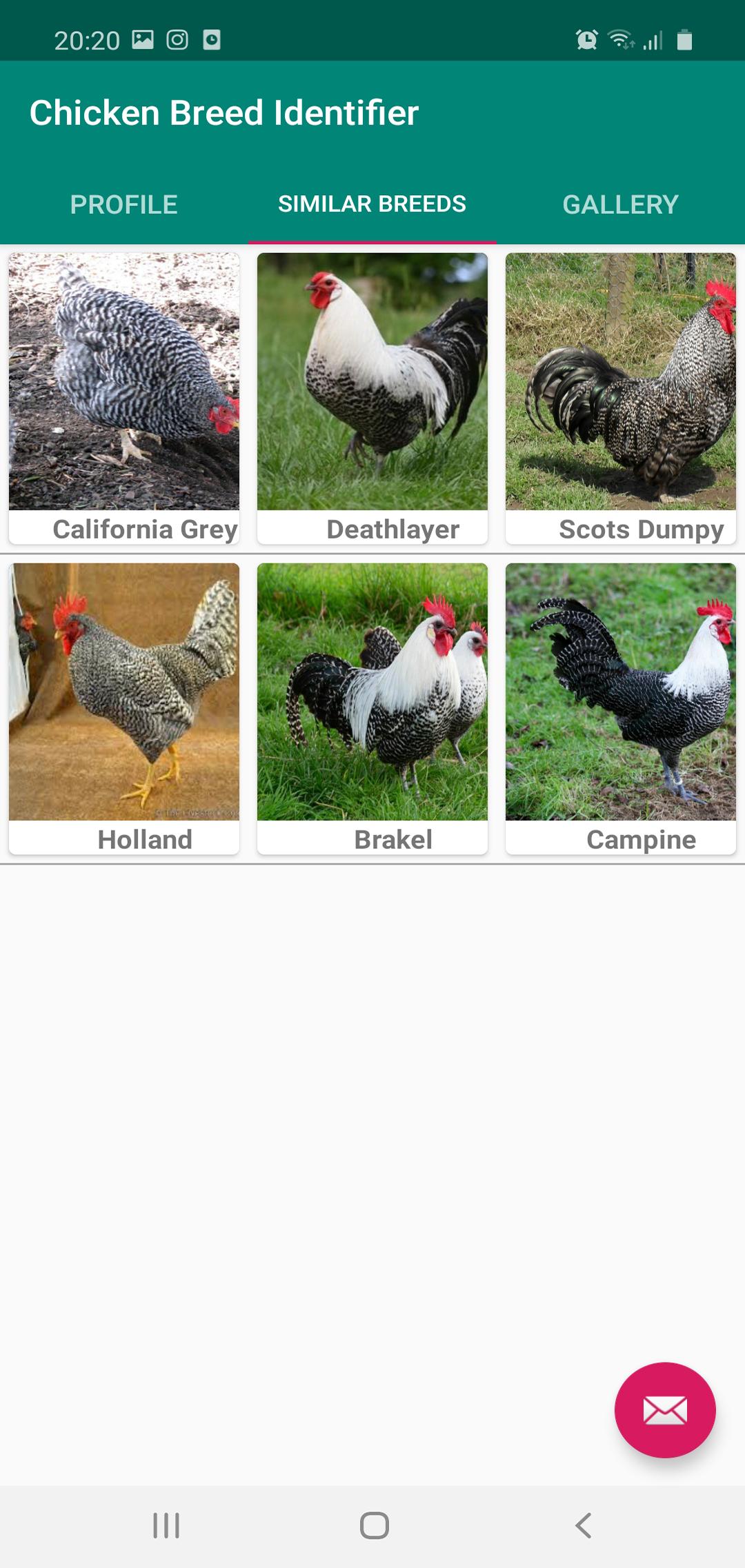 Chicken Breed Identifier 10.0 Screenshot 6