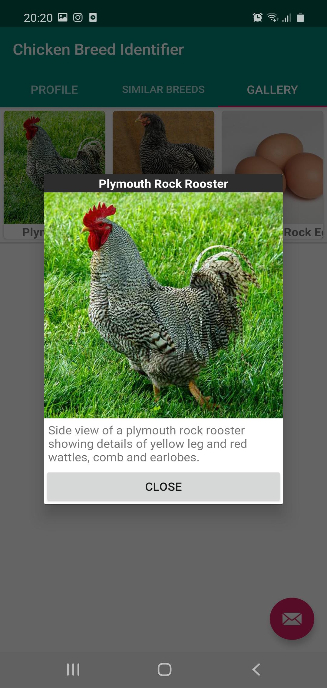 Chicken Breed Identifier 10.0 Screenshot 8