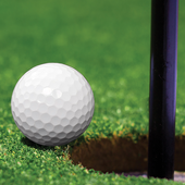 Minigolf Aces app icon