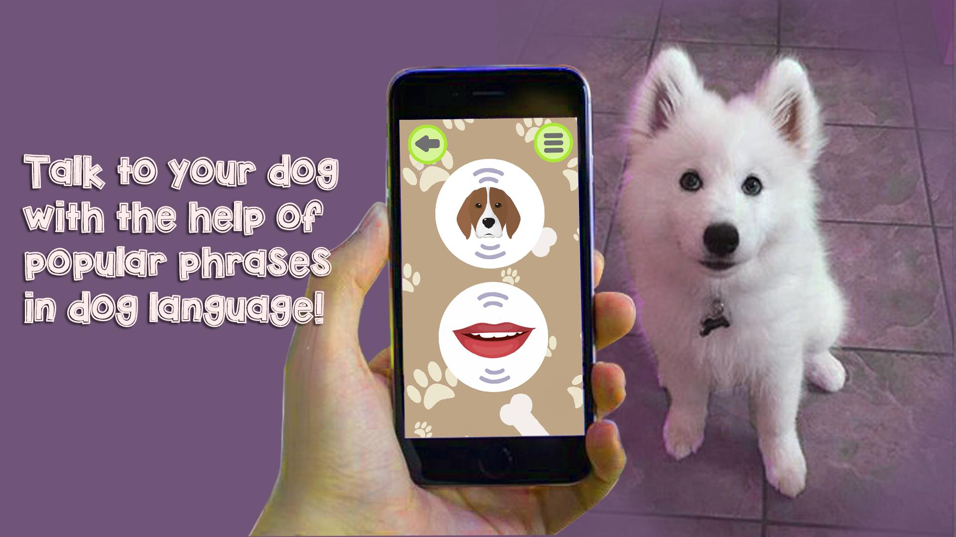 Dog Language Translator Simulator - Talk to Pet 1.3 Screenshot 2