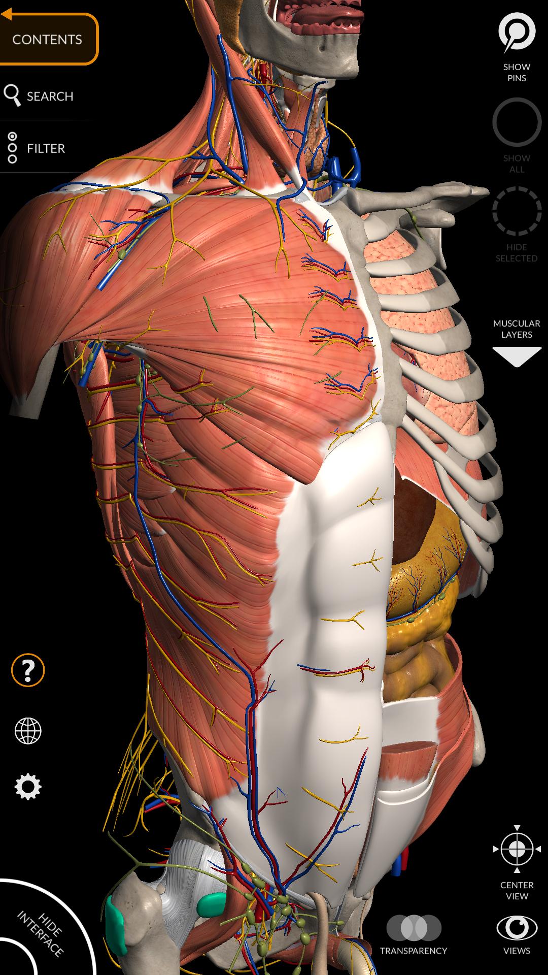 Anatomy 3D Atlas 2.0.7 Screenshot 1
