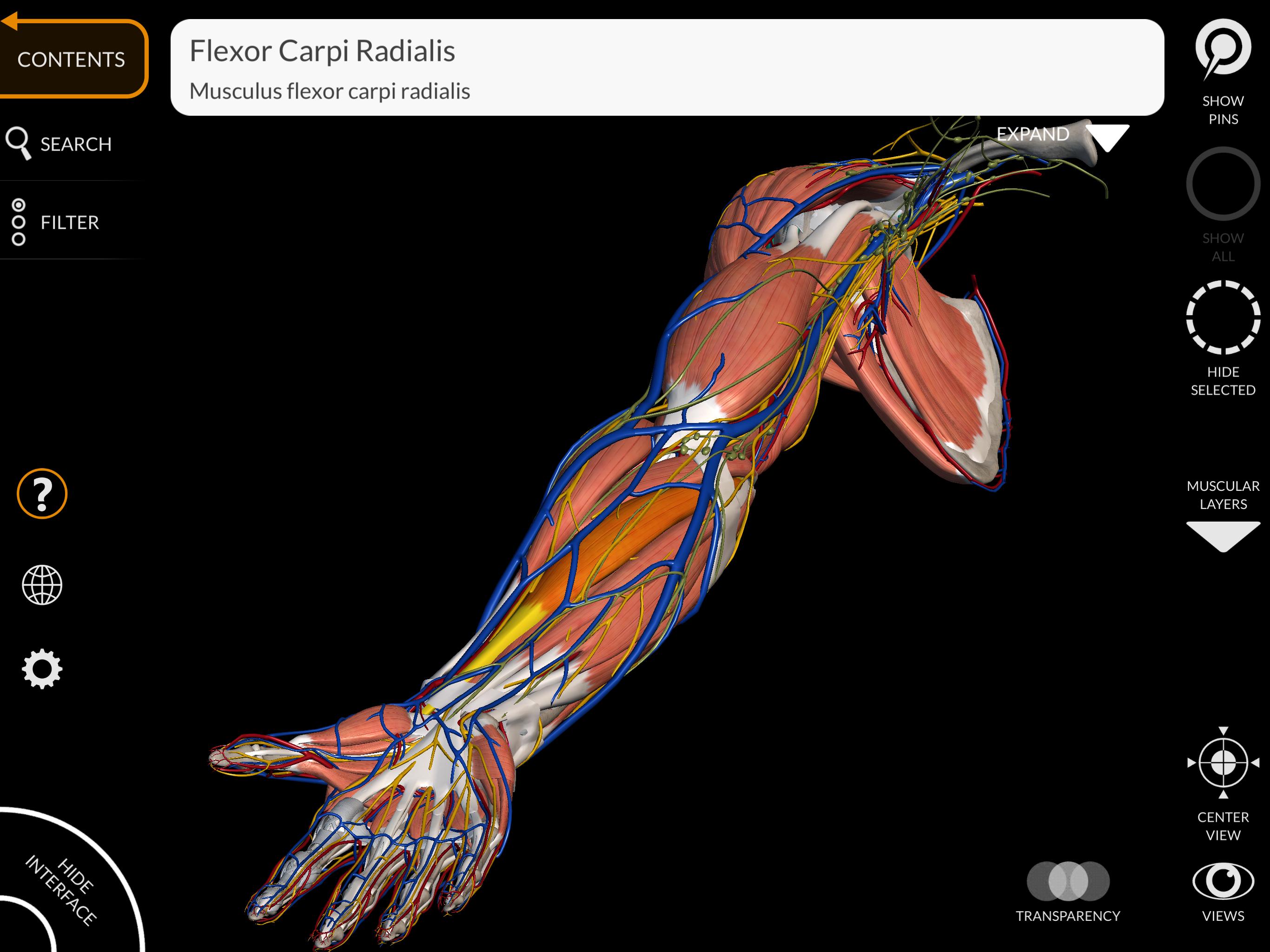 Anatomy 3D Atlas 2.0.7 Screenshot 10