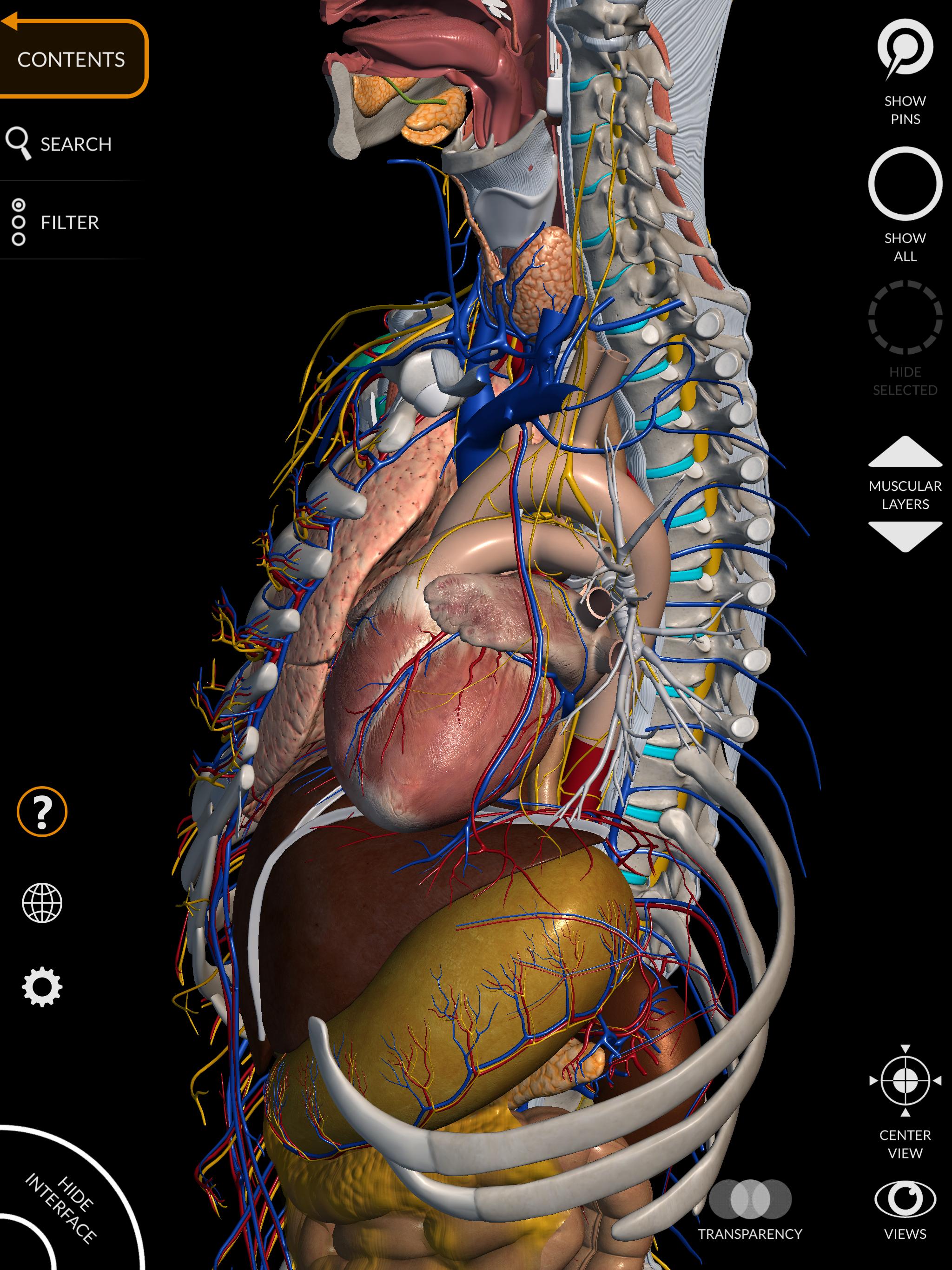 Anatomy 3D Atlas 2.0.7 Screenshot 11