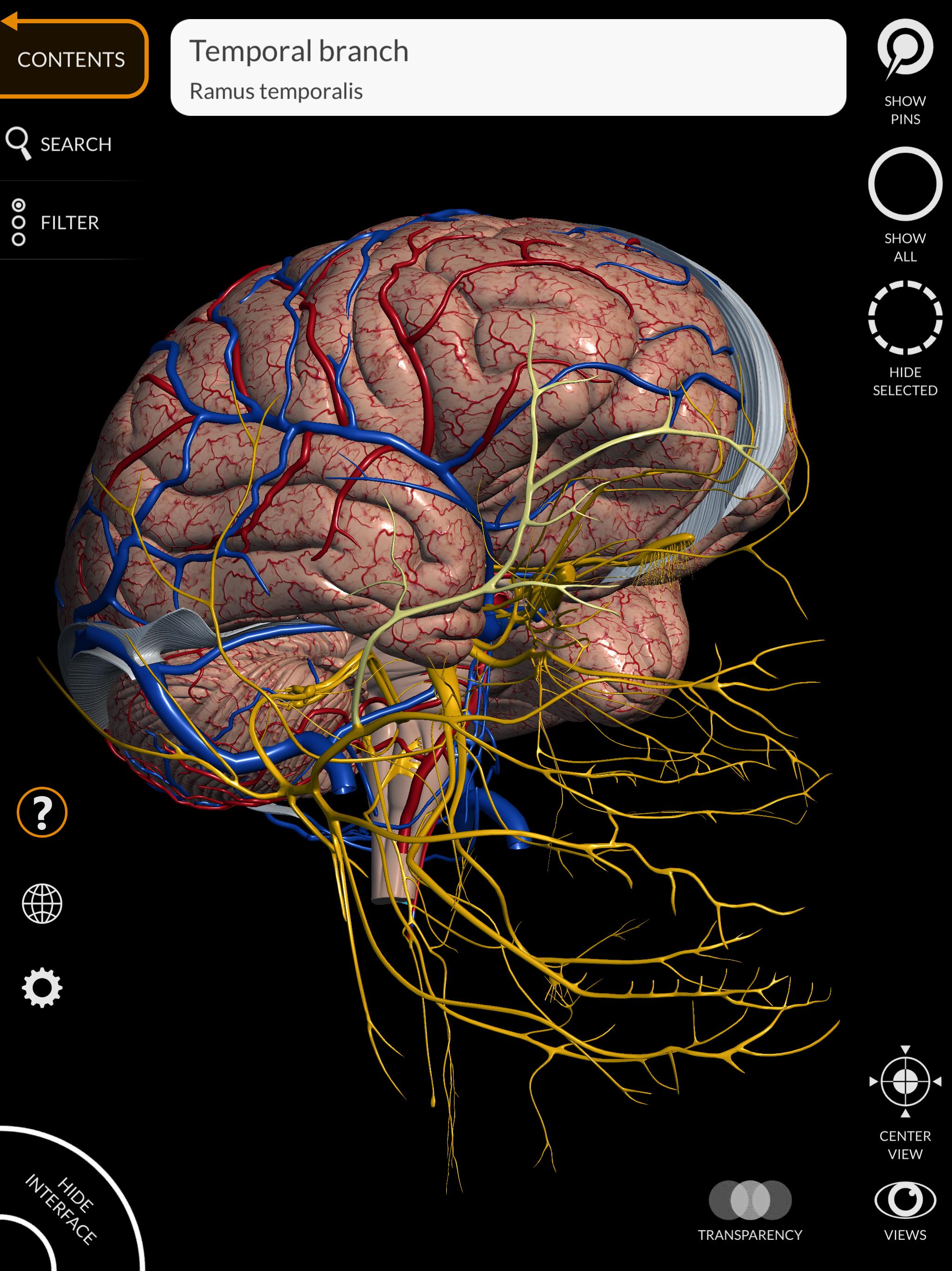 Anatomy 3D Atlas 2.0.7 Screenshot 12