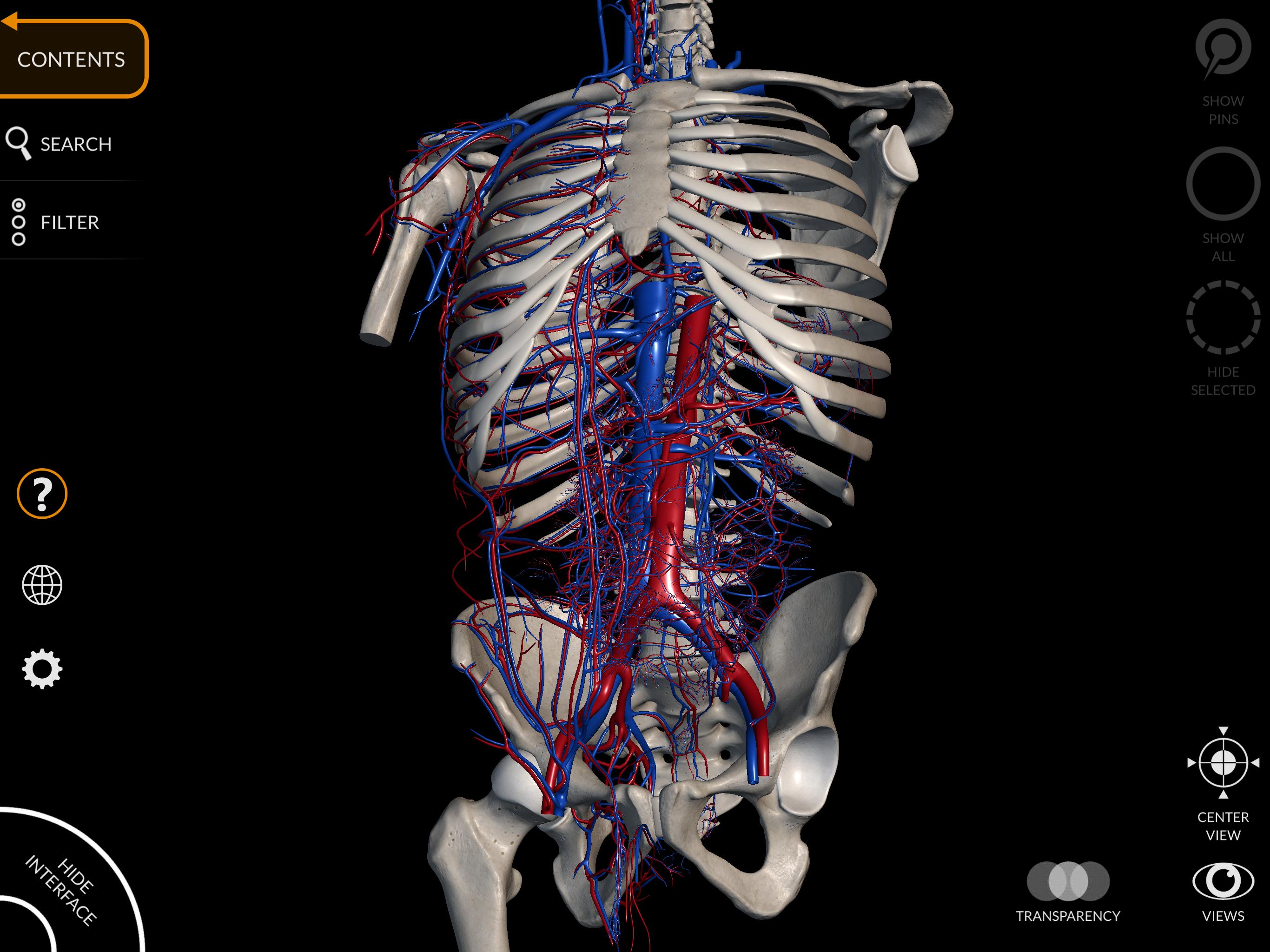 Anatomy 3D Atlas 2.0.7 Screenshot 13