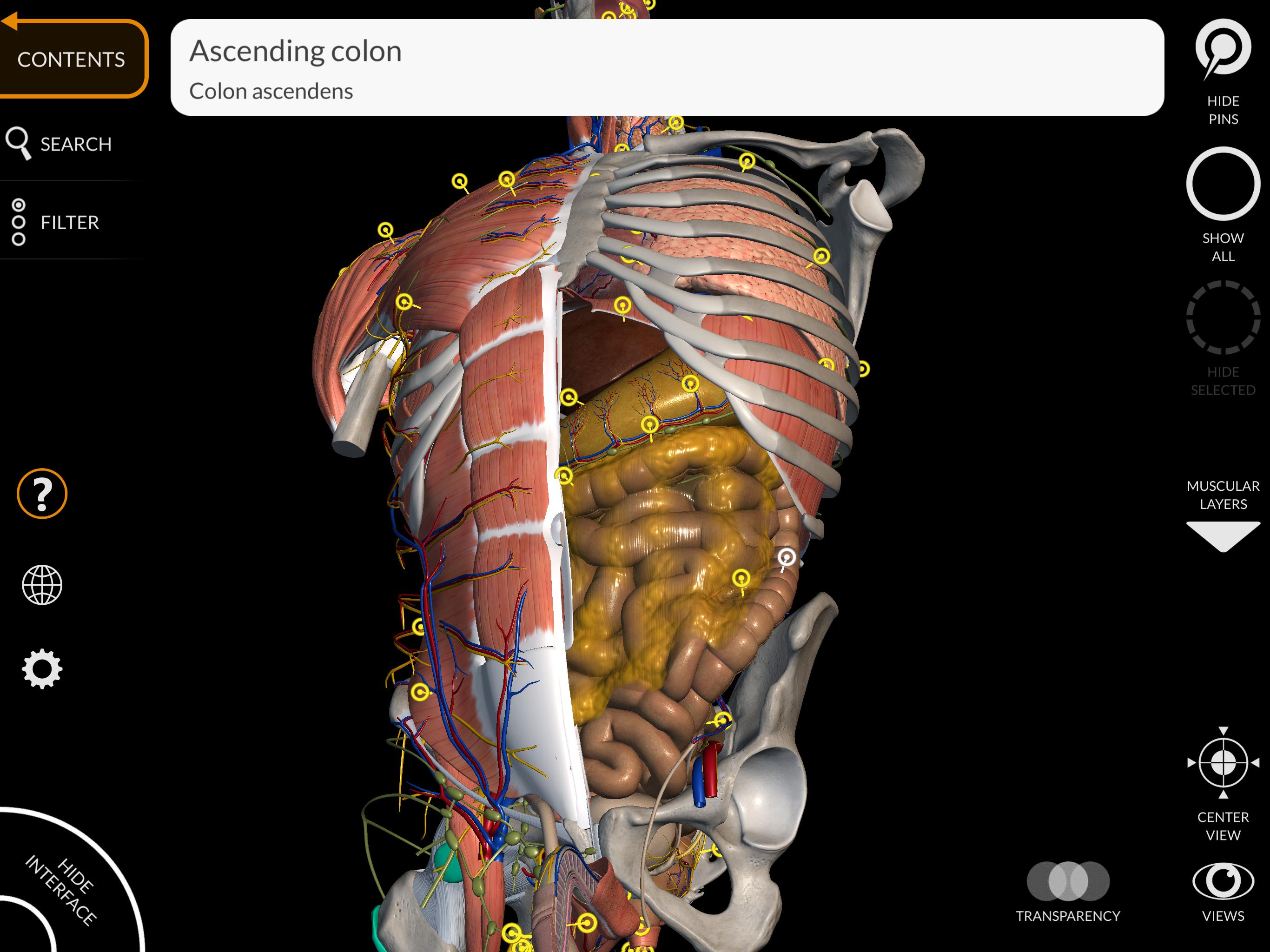 Anatomy 3D Atlas 2.0.7 Screenshot 14