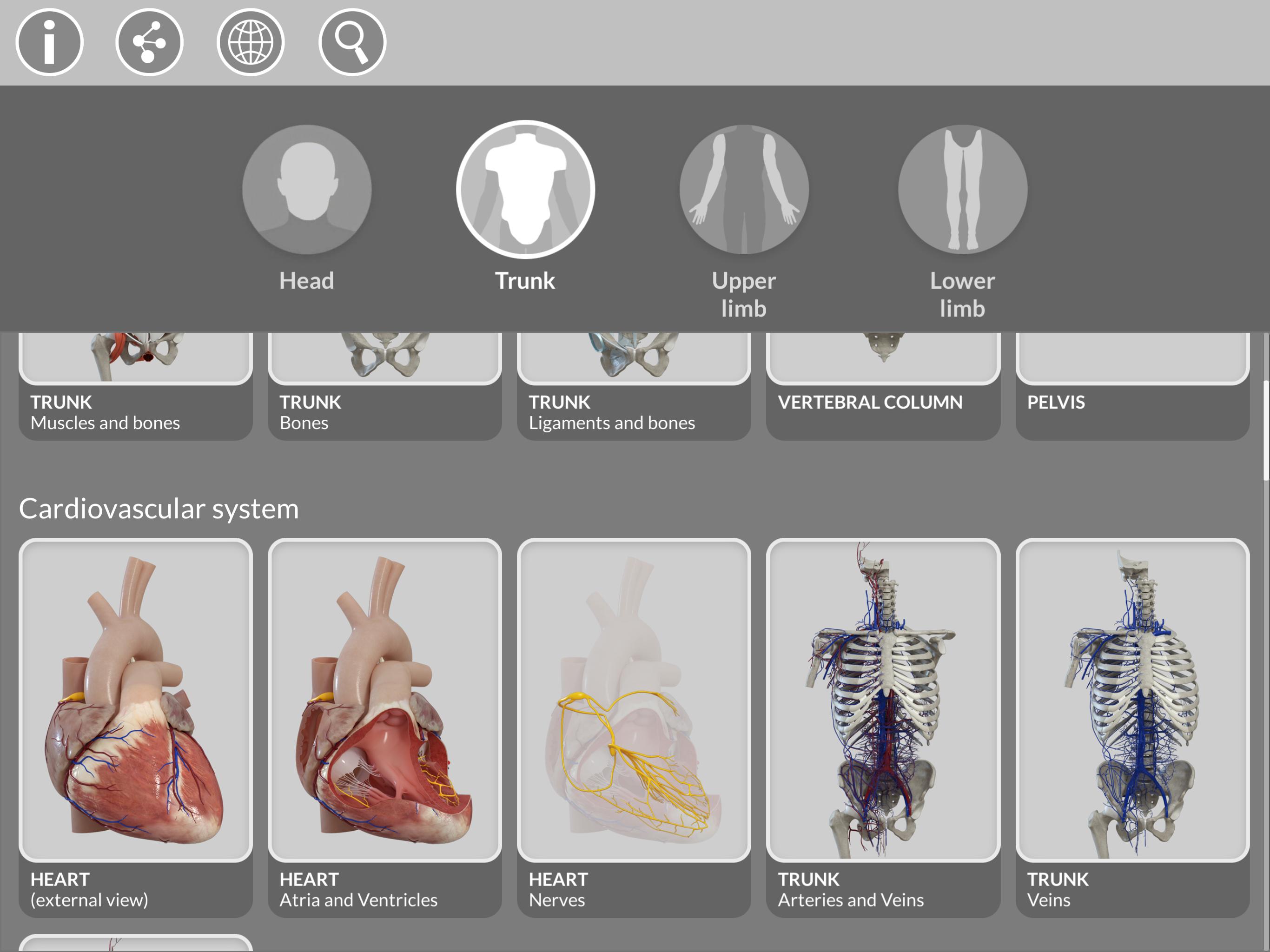 Anatomy 3D Atlas 2.0.7 Screenshot 15