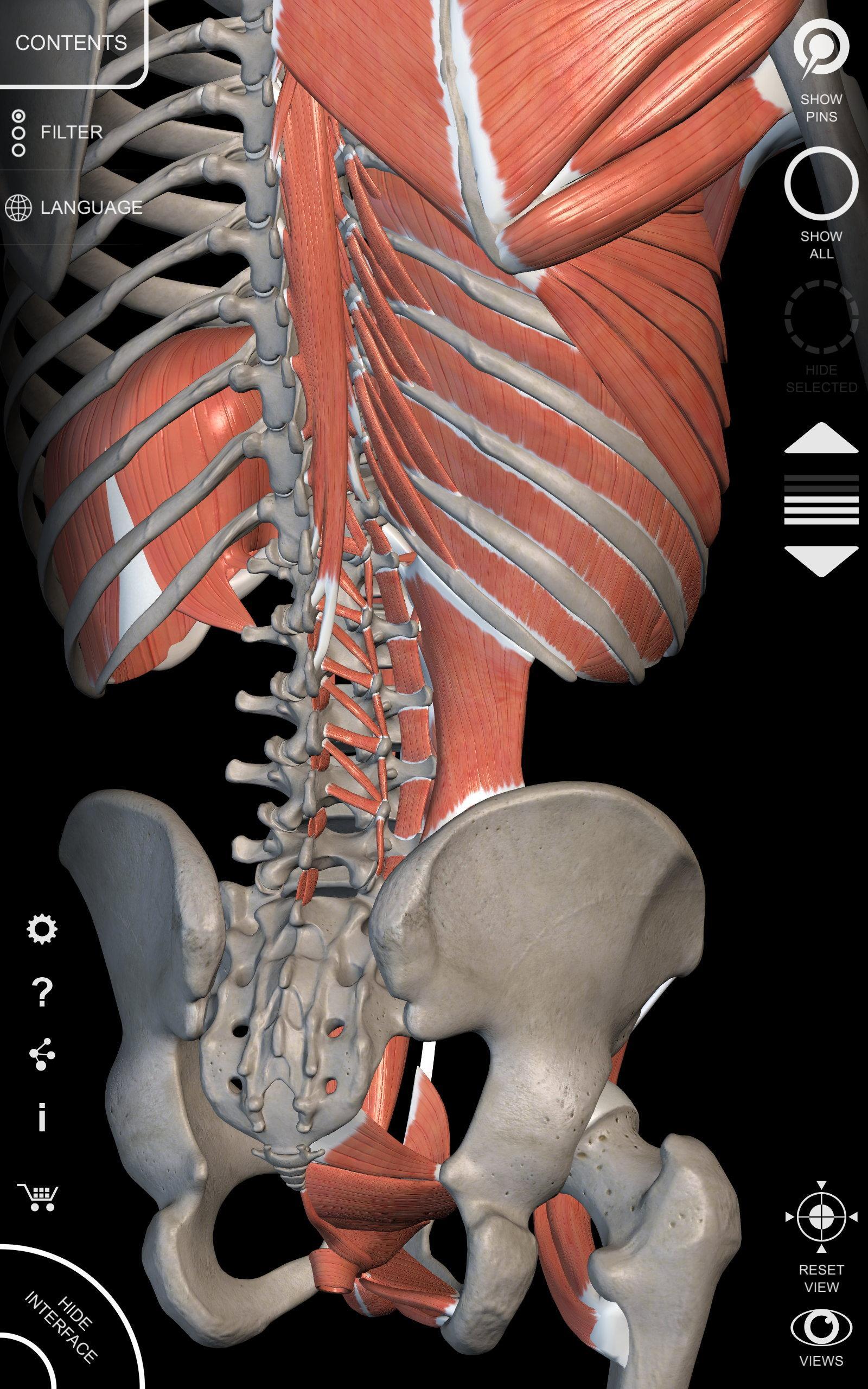 Anatomy 3D Atlas 2.0.7 Screenshot 16