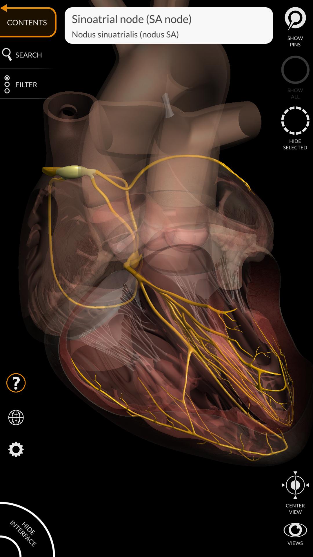 Anatomy 3D Atlas 2.0.7 Screenshot 5