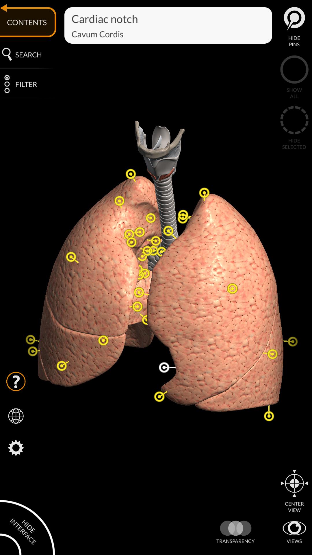 Anatomy 3D Atlas 2.0.7 Screenshot 7