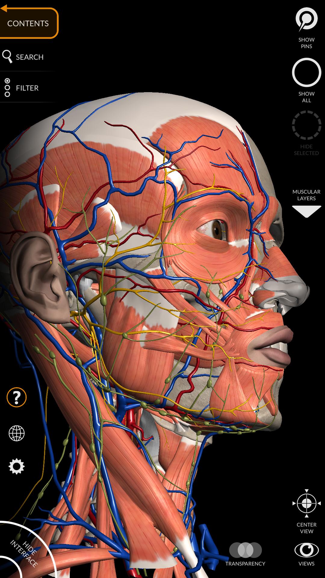 Anatomy 3D Atlas 2.0.7 Screenshot 8