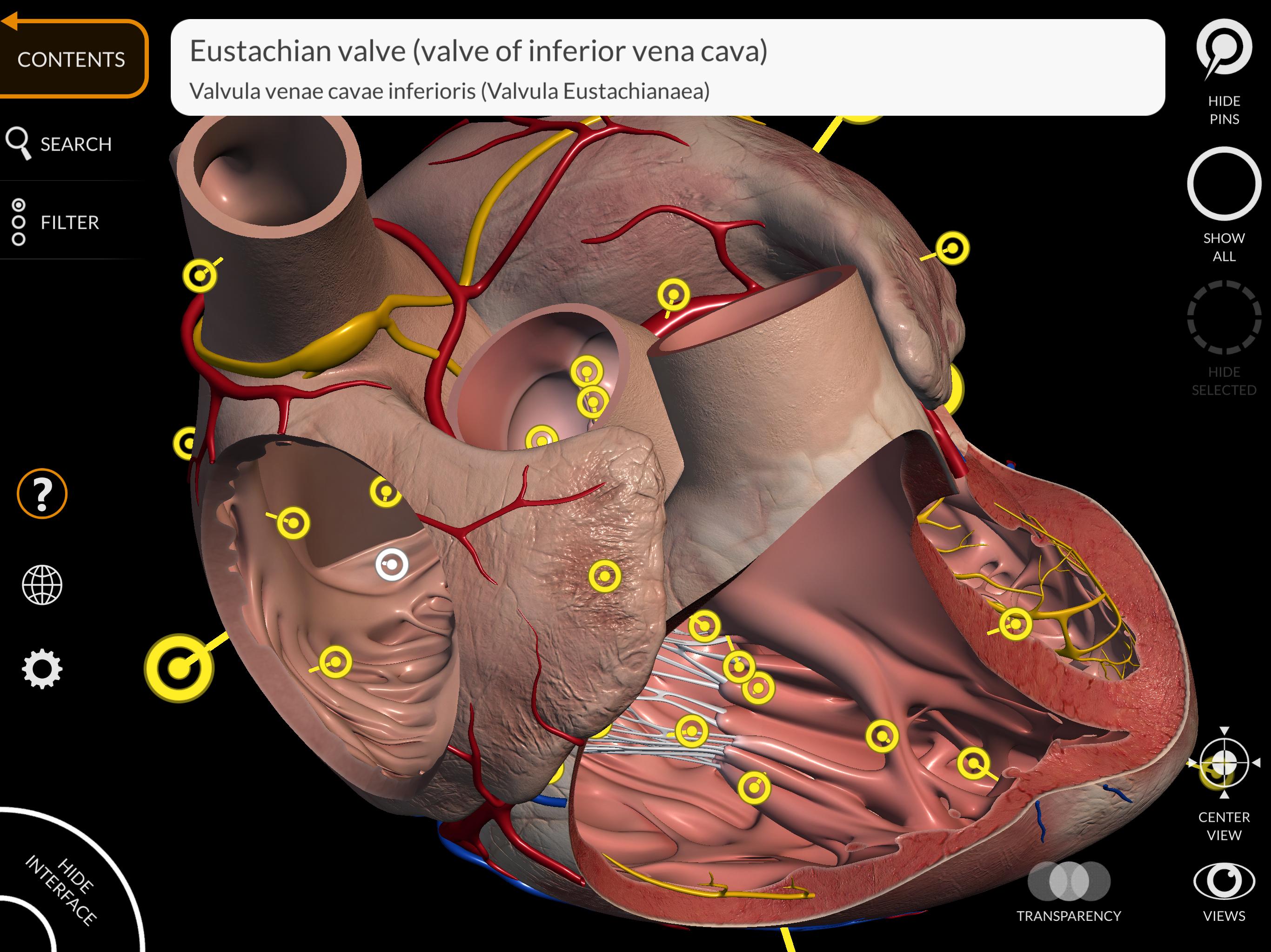 Anatomy 3D Atlas 2.0.7 Screenshot 9
