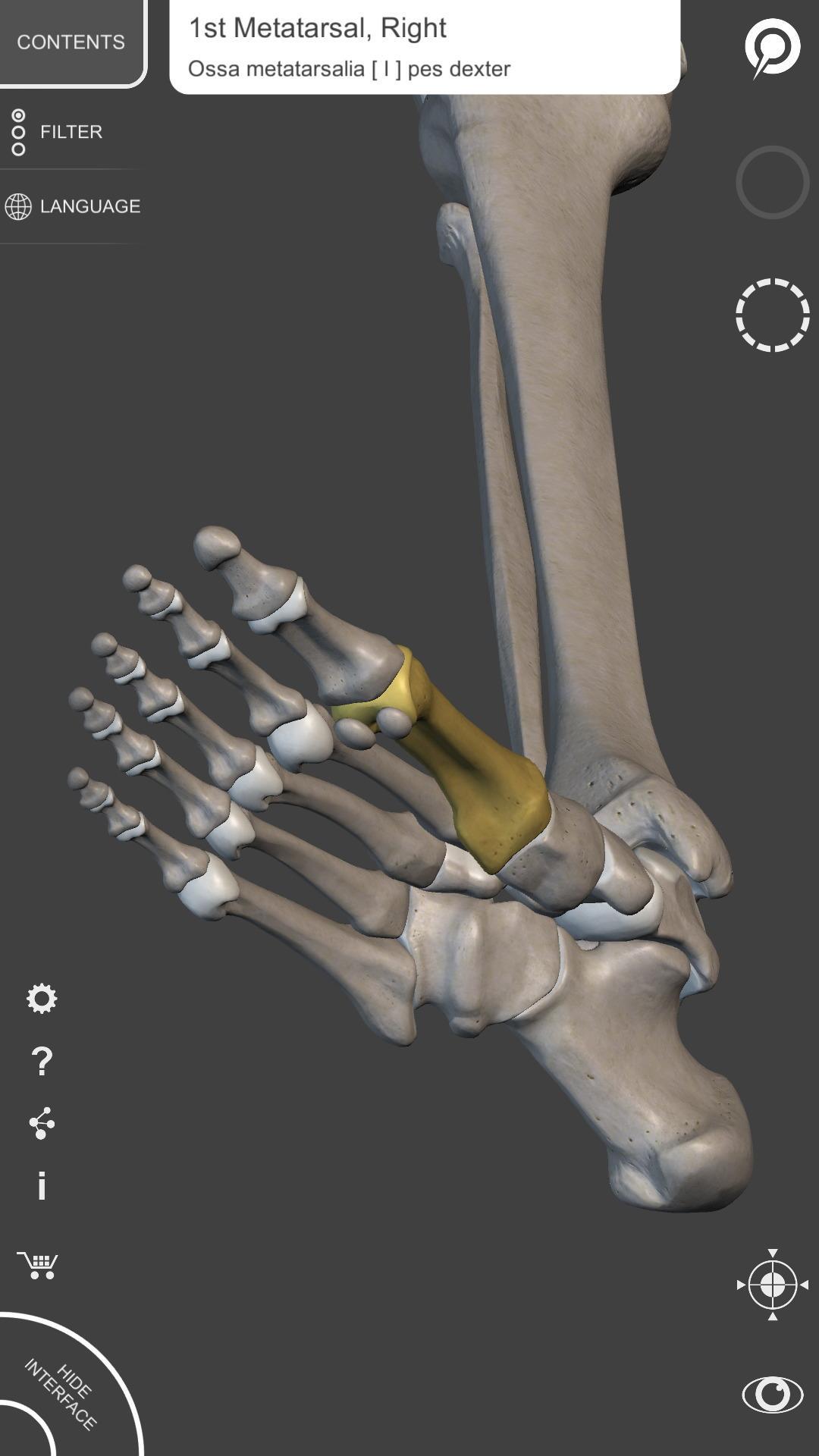 Skeleton | 3D Anatomy 2.5.3 Screenshot 15