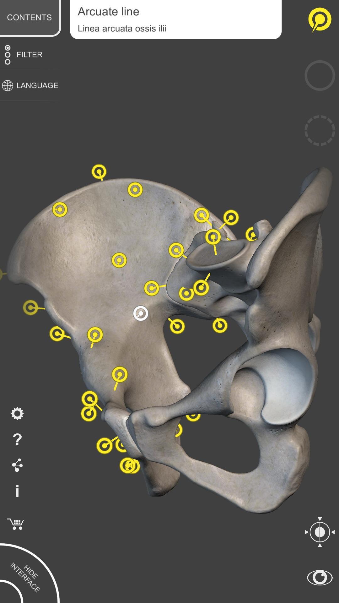 Skeleton | 3D Anatomy 2.5.3 Screenshot 2