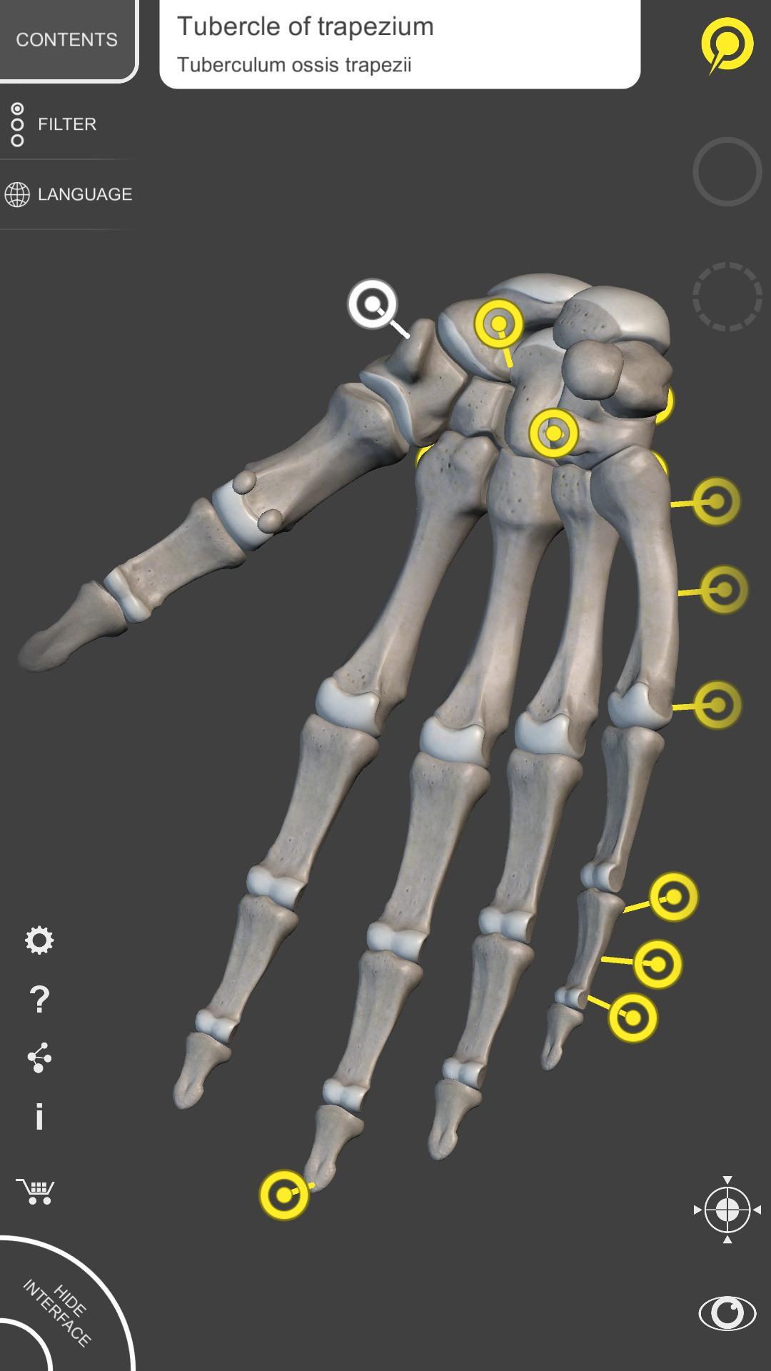 Skeleton | 3D Anatomy 2.5.3 Screenshot 3